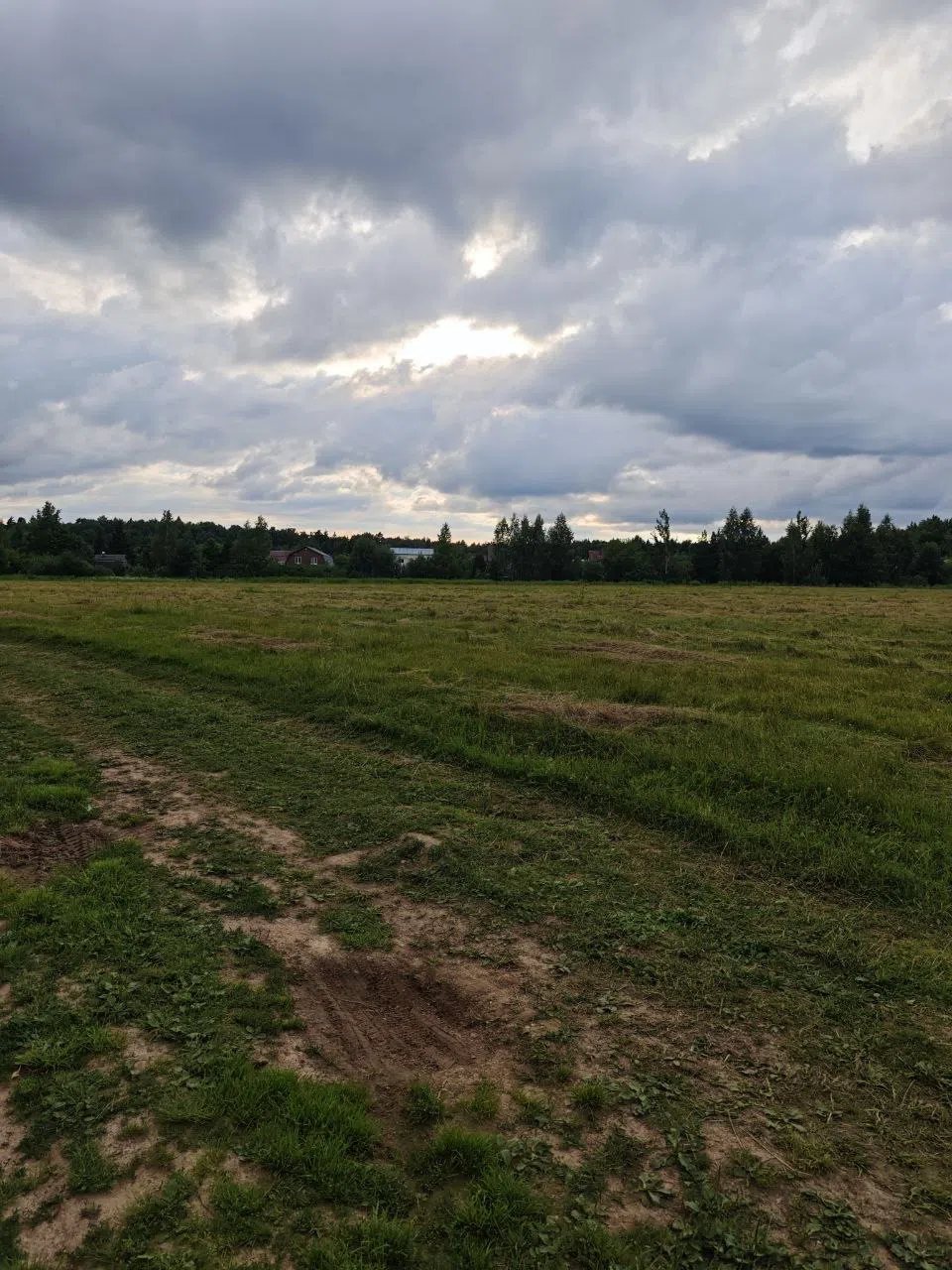 Поля, луга, дороги, фото 5