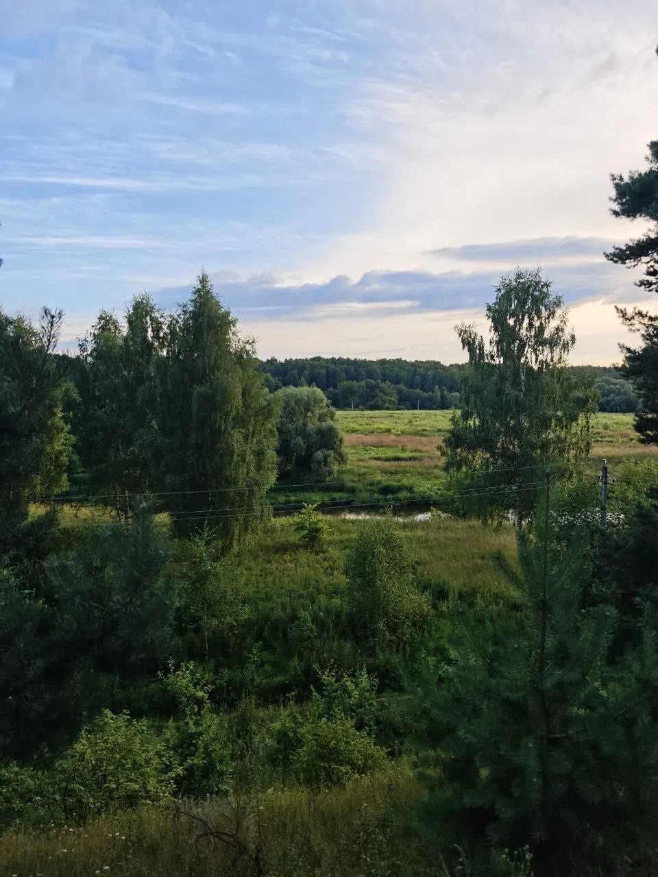 Поля, луга, дороги, фото 14