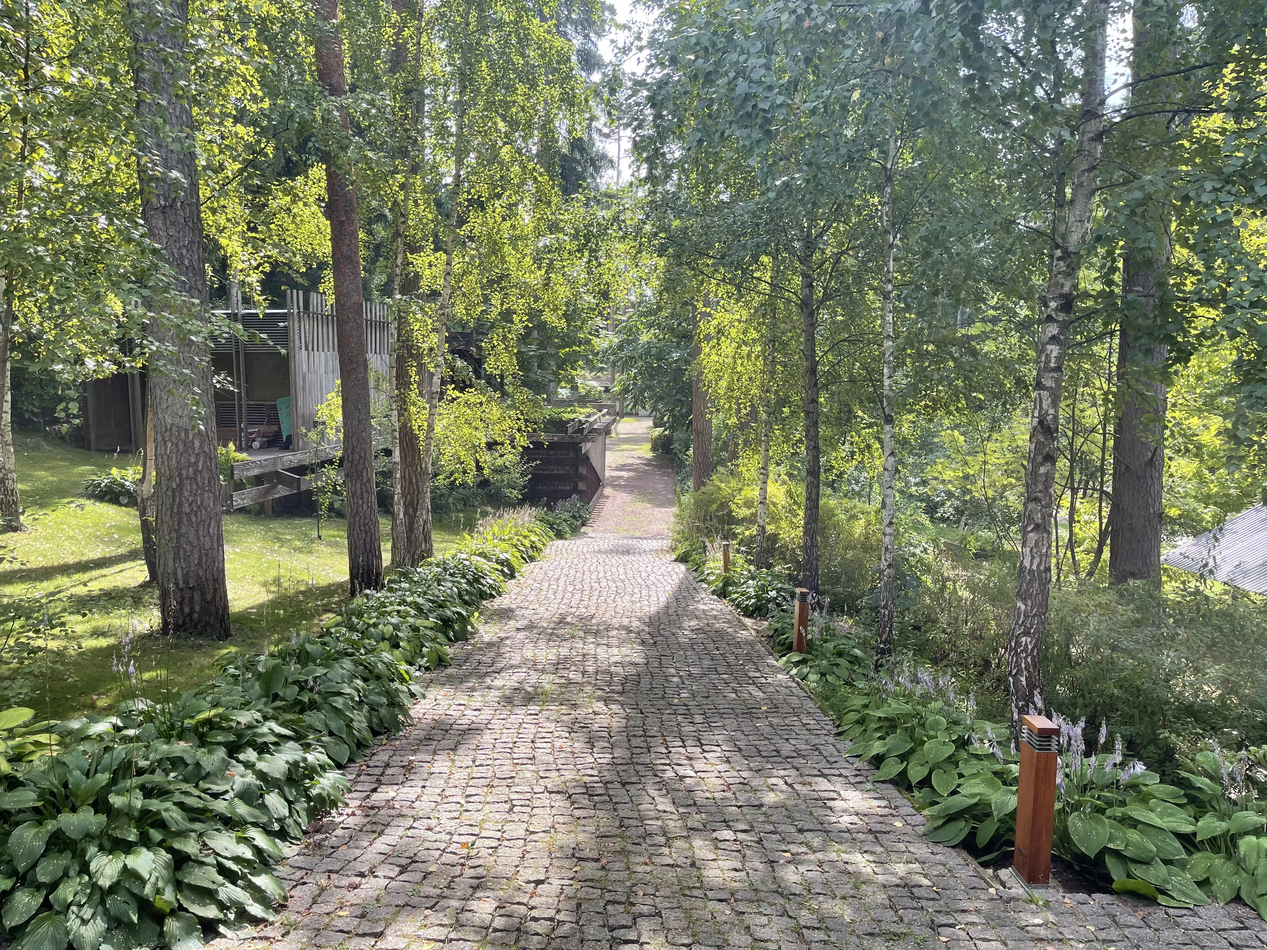 Рустик в чаще леса, фото 1