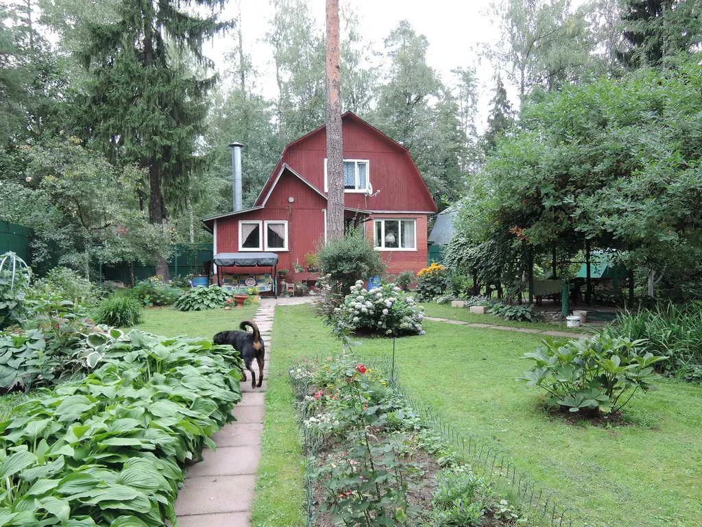 Дачный домик в чаще, фото 11
