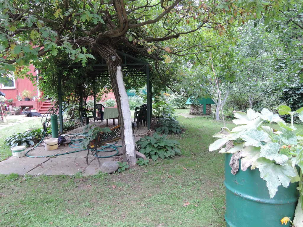 Дачный домик в чаще, фото 20