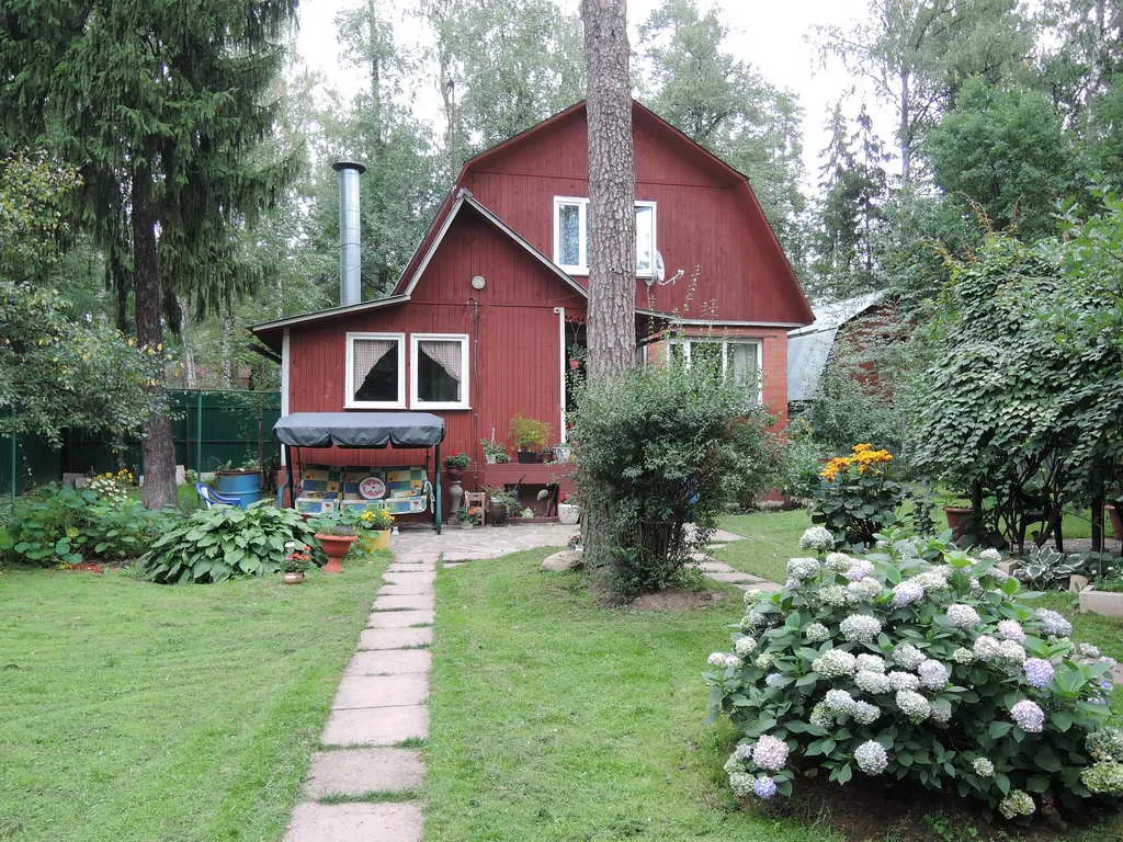 Дачный домик в чаще, фото 14
