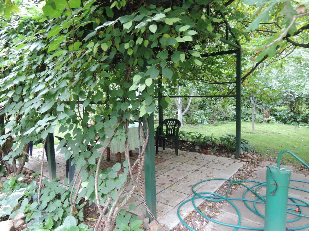 Дачный домик в чаще, фото 16