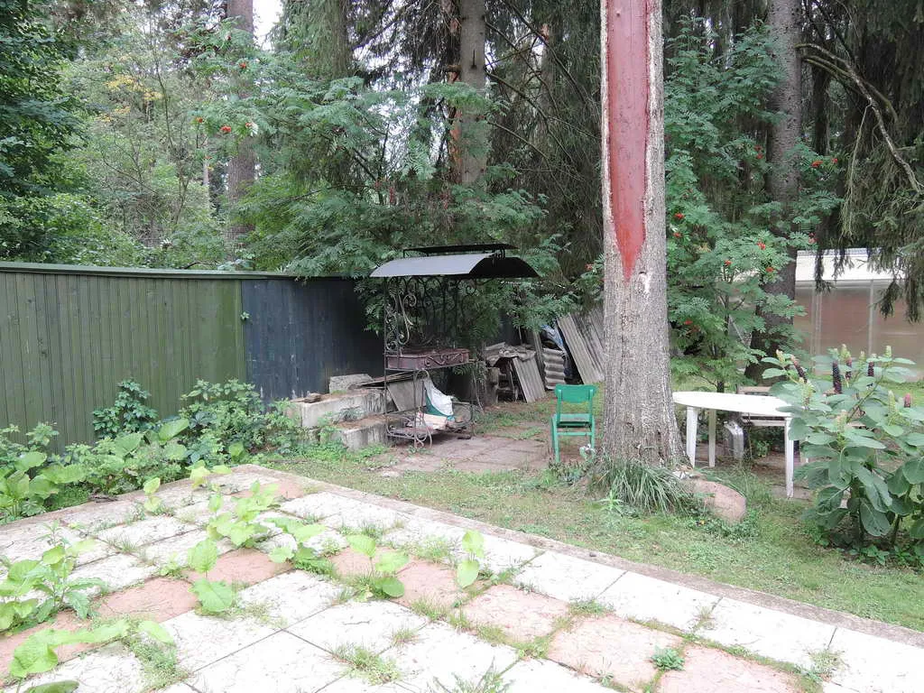 Дачный домик в чаще, фото 21