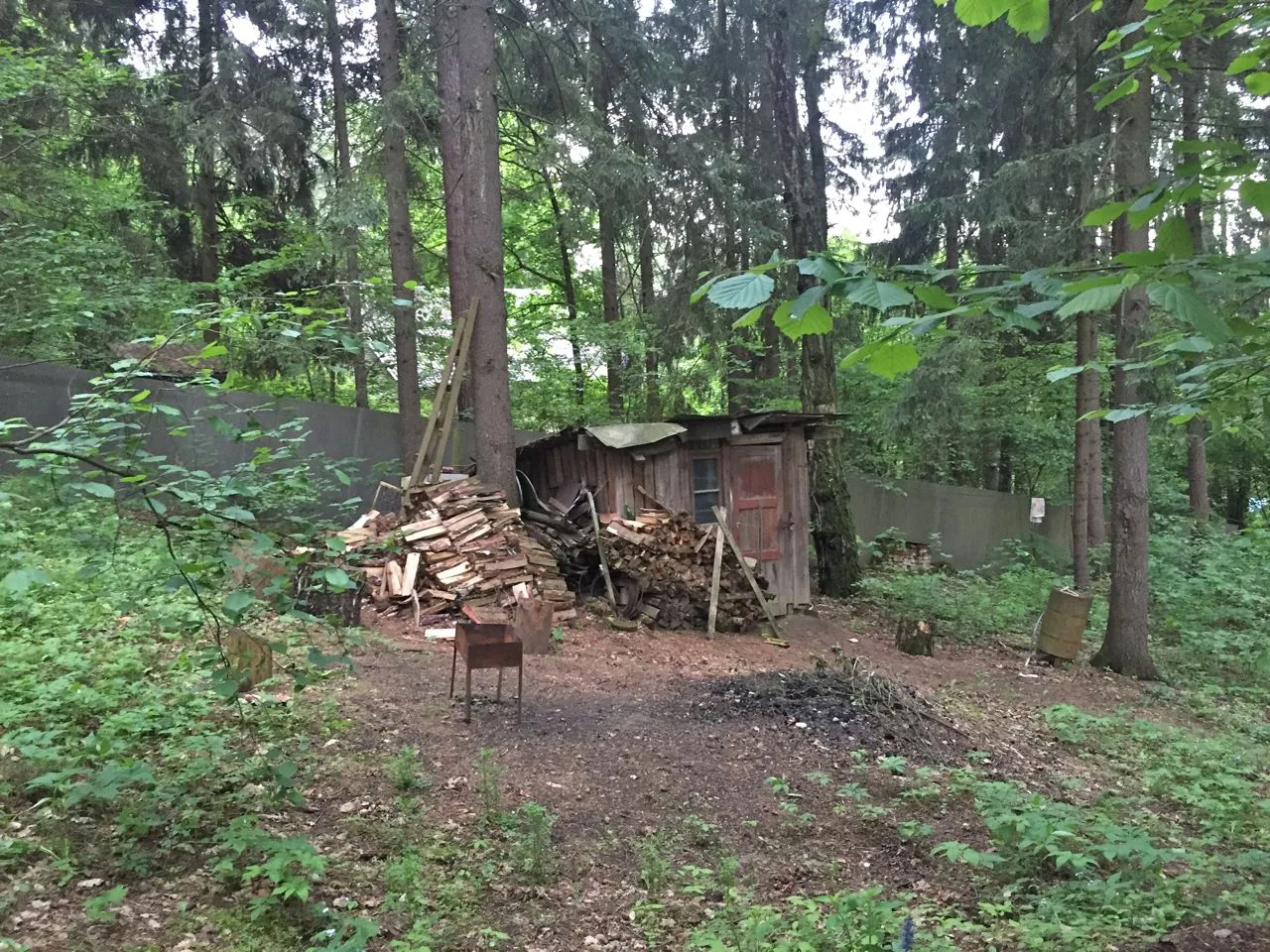 Дача в лесном стиле, фото 2