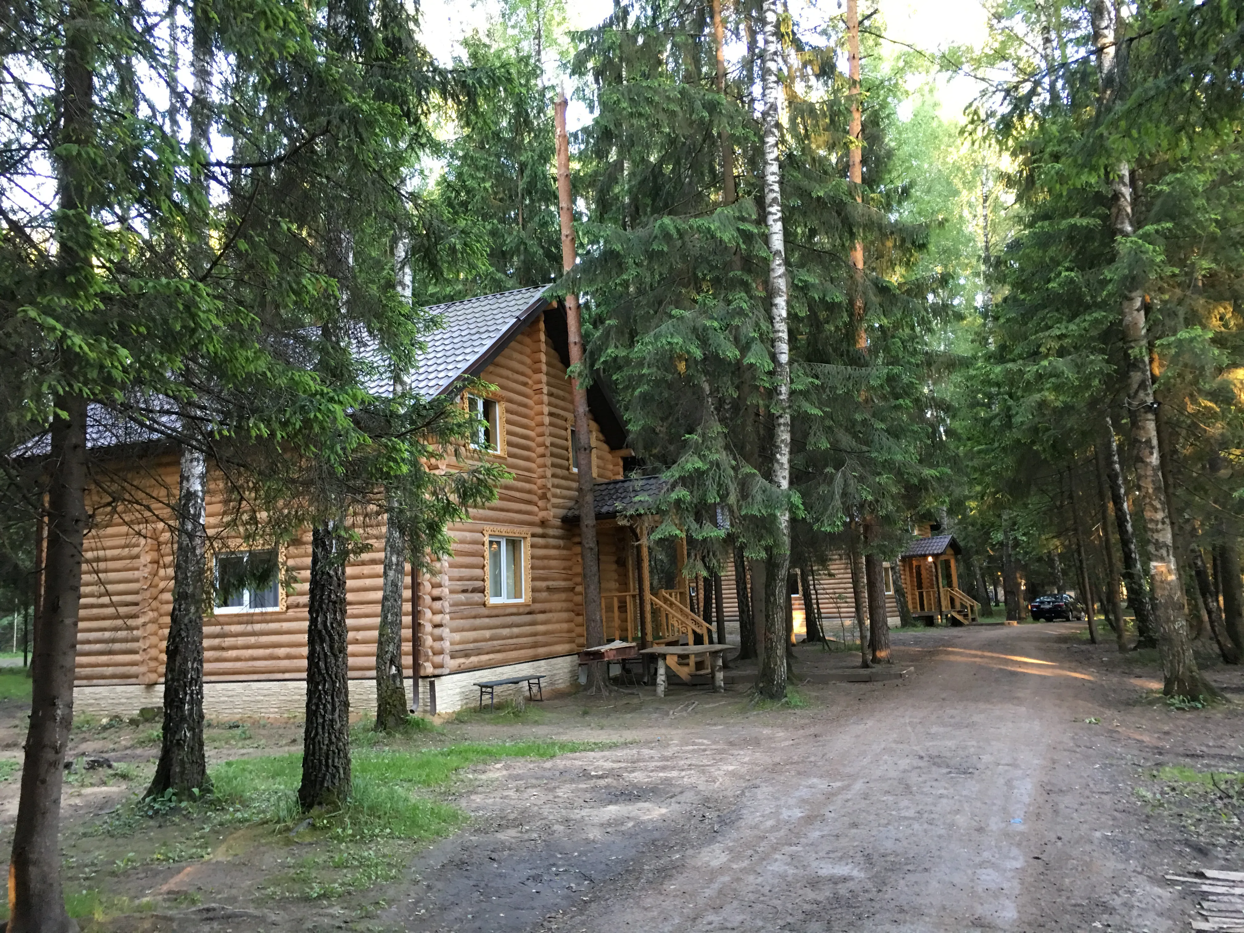 Сруб в сосновом лесу, фото 12