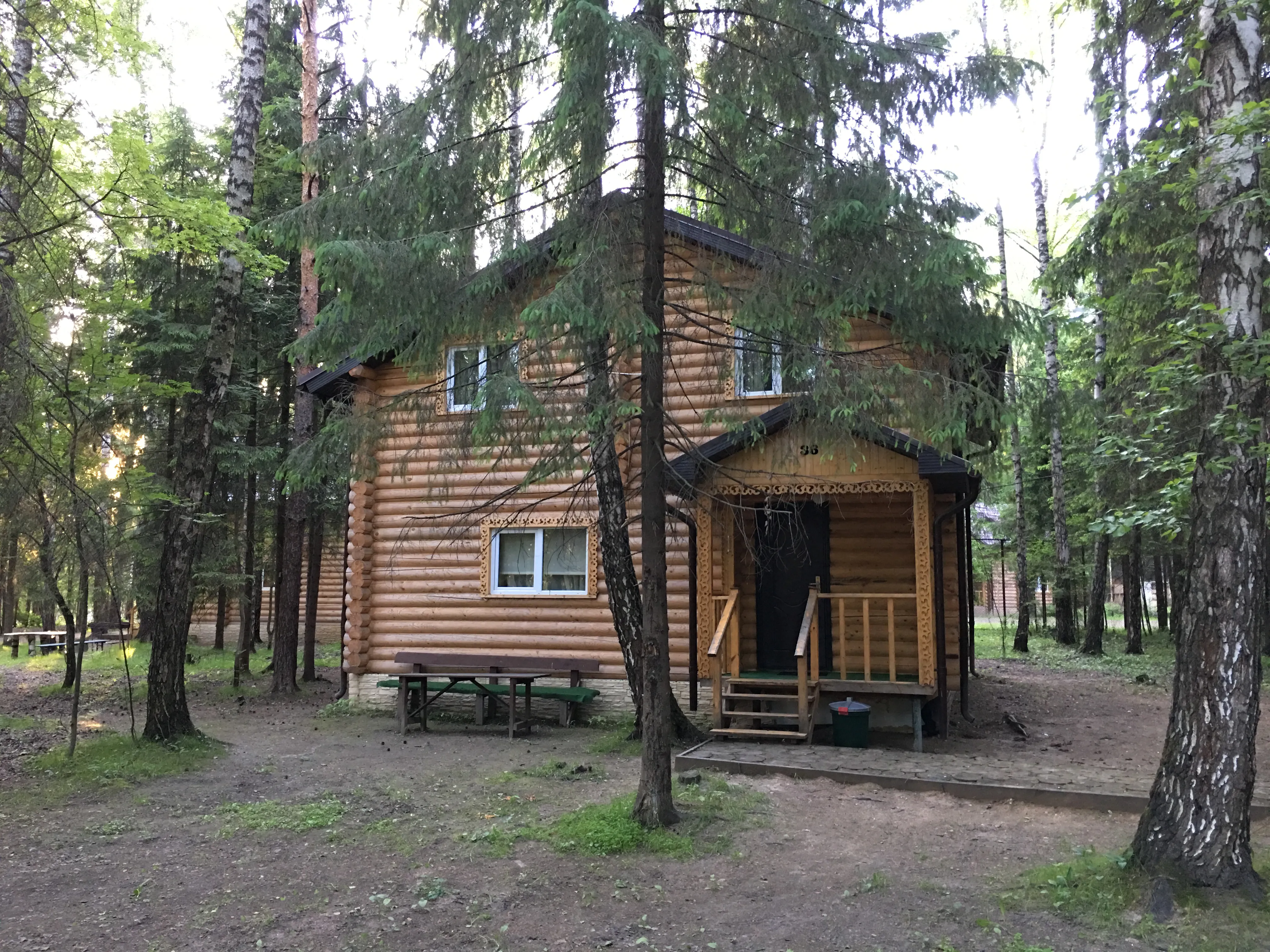 Сруб в сосновом лесу, фото 4