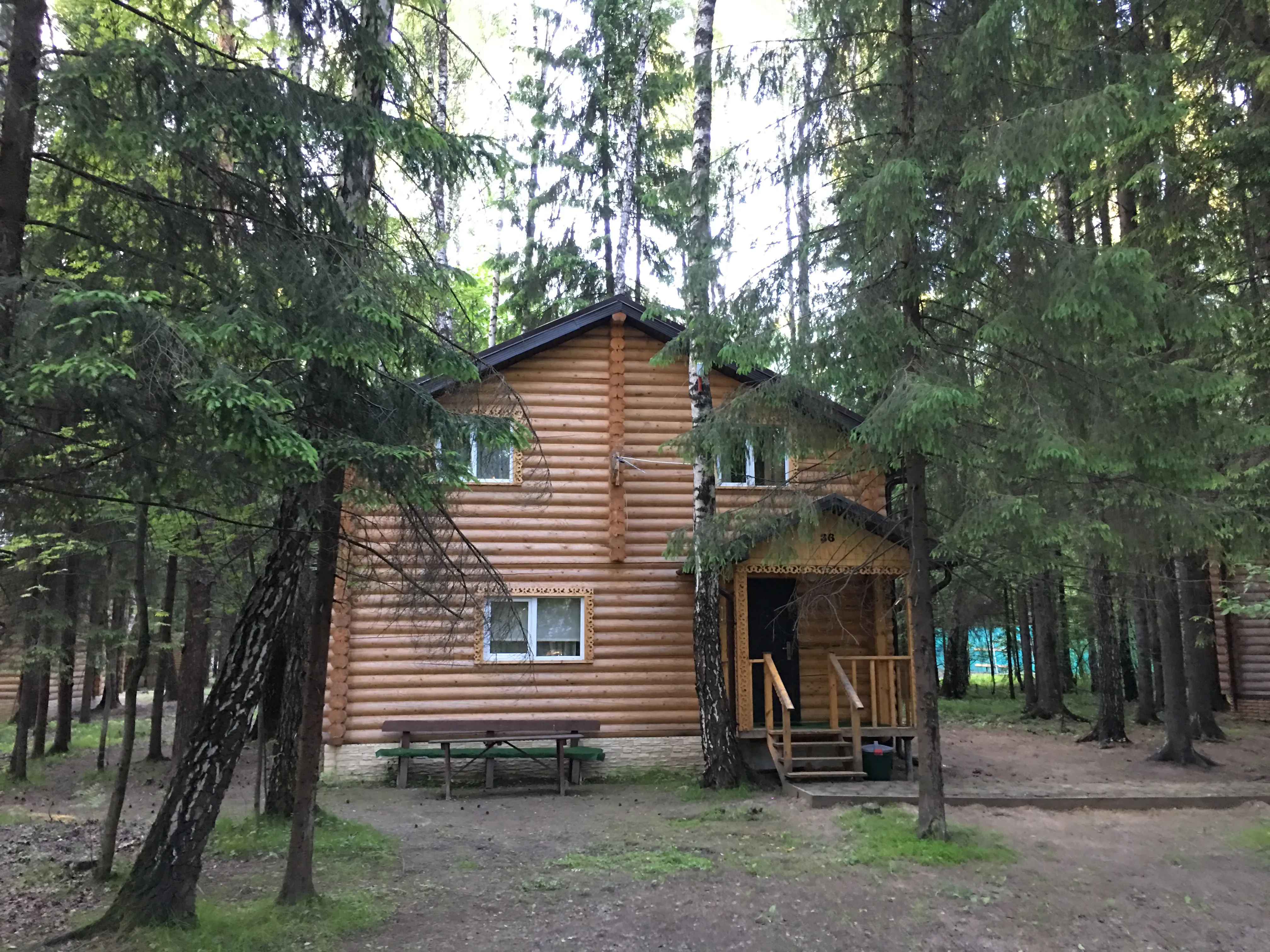 Сруб в сосновом лесу, фото 5