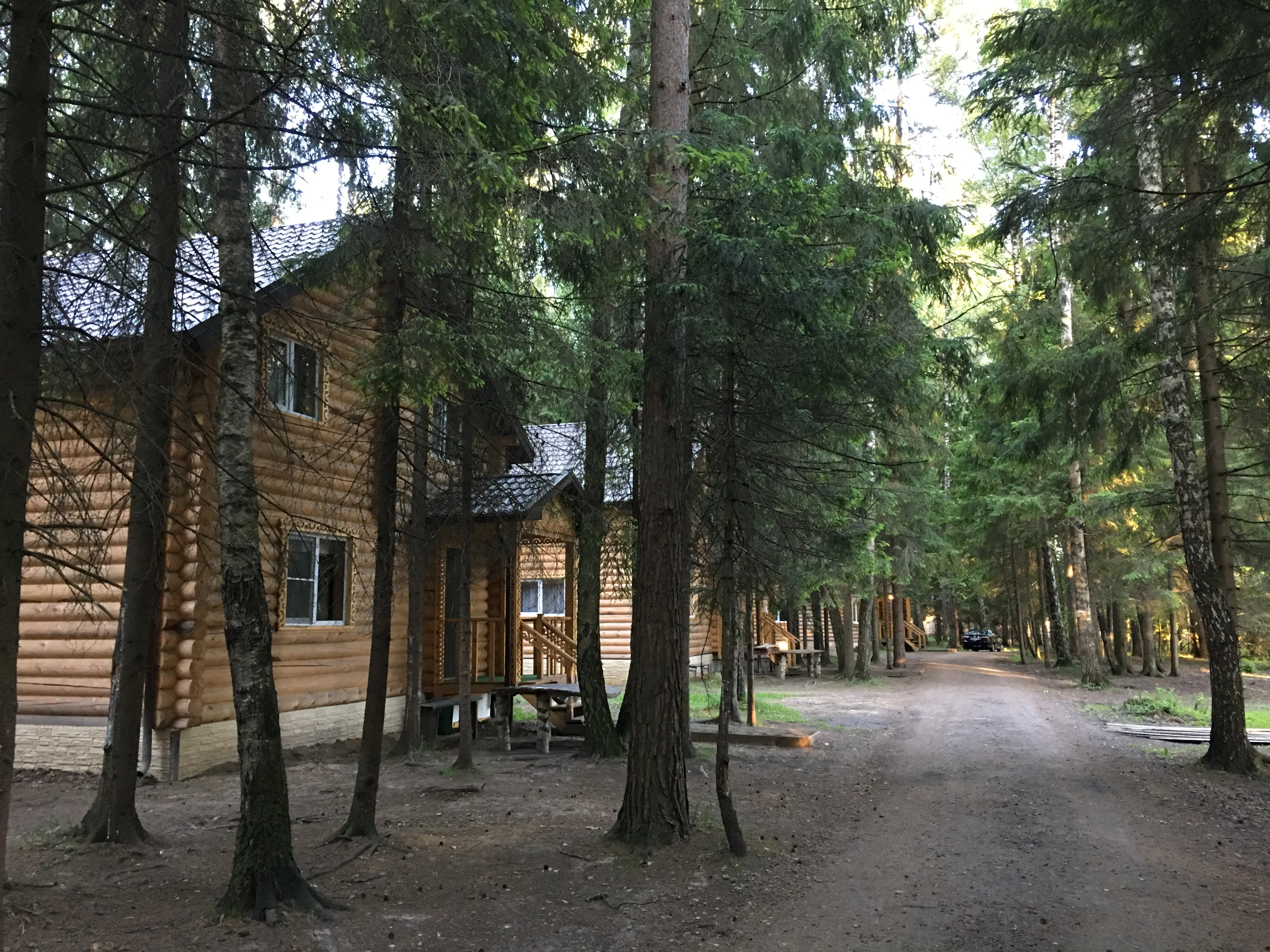 Сруб в сосновом лесу, фото 14