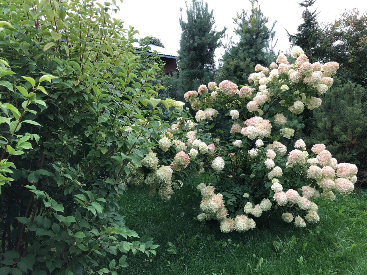Дача в стиле прованс, фото 21