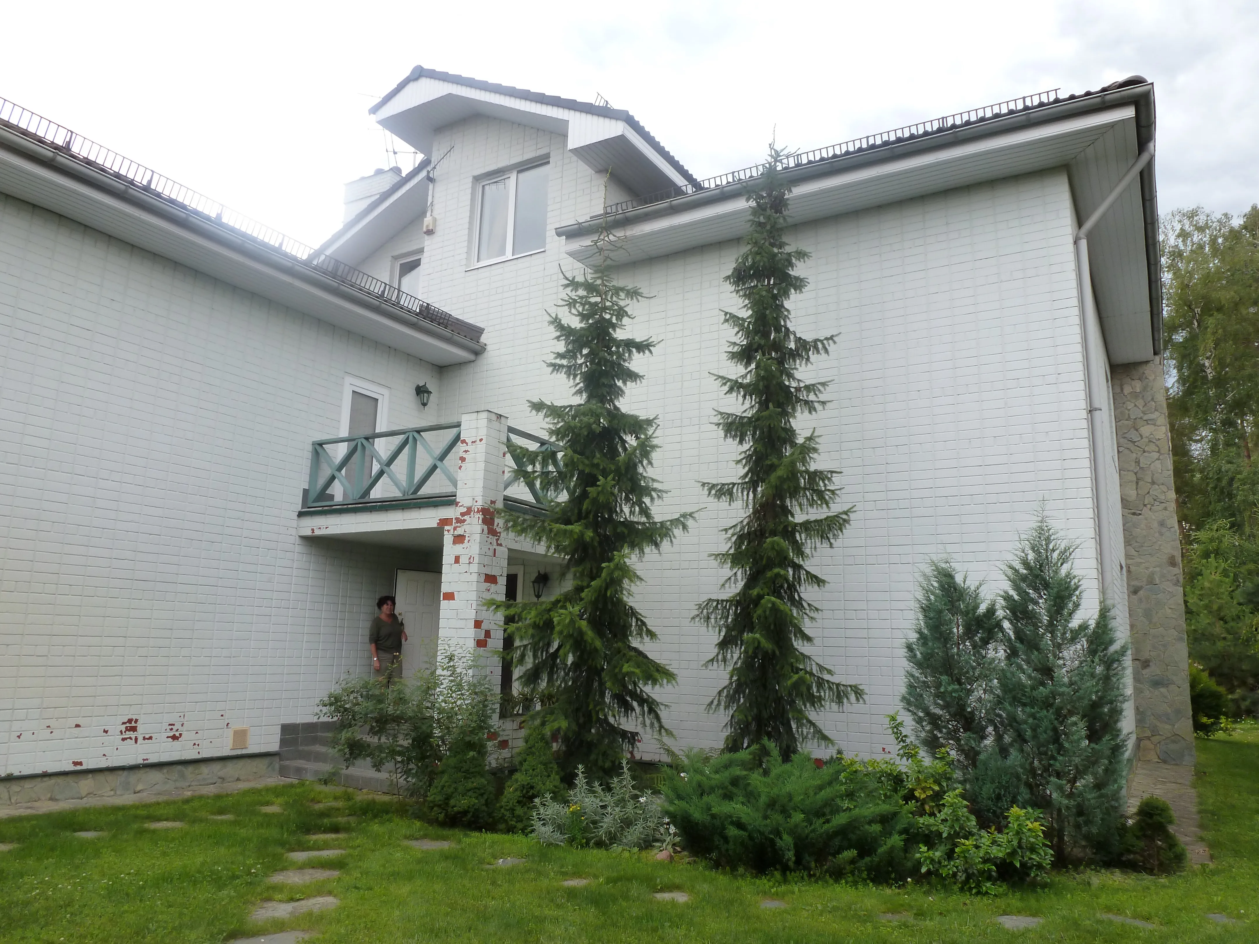 Загородный дом с гамаком, фото 6