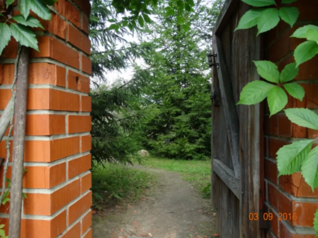 Дача в хвойном саду, фото 20