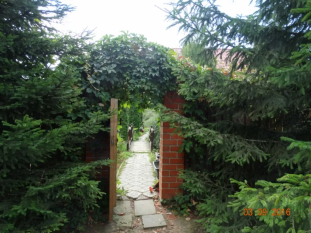 Дача в хвойном саду, фото 19