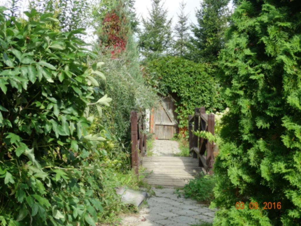Дача в хвойном саду, фото 9
