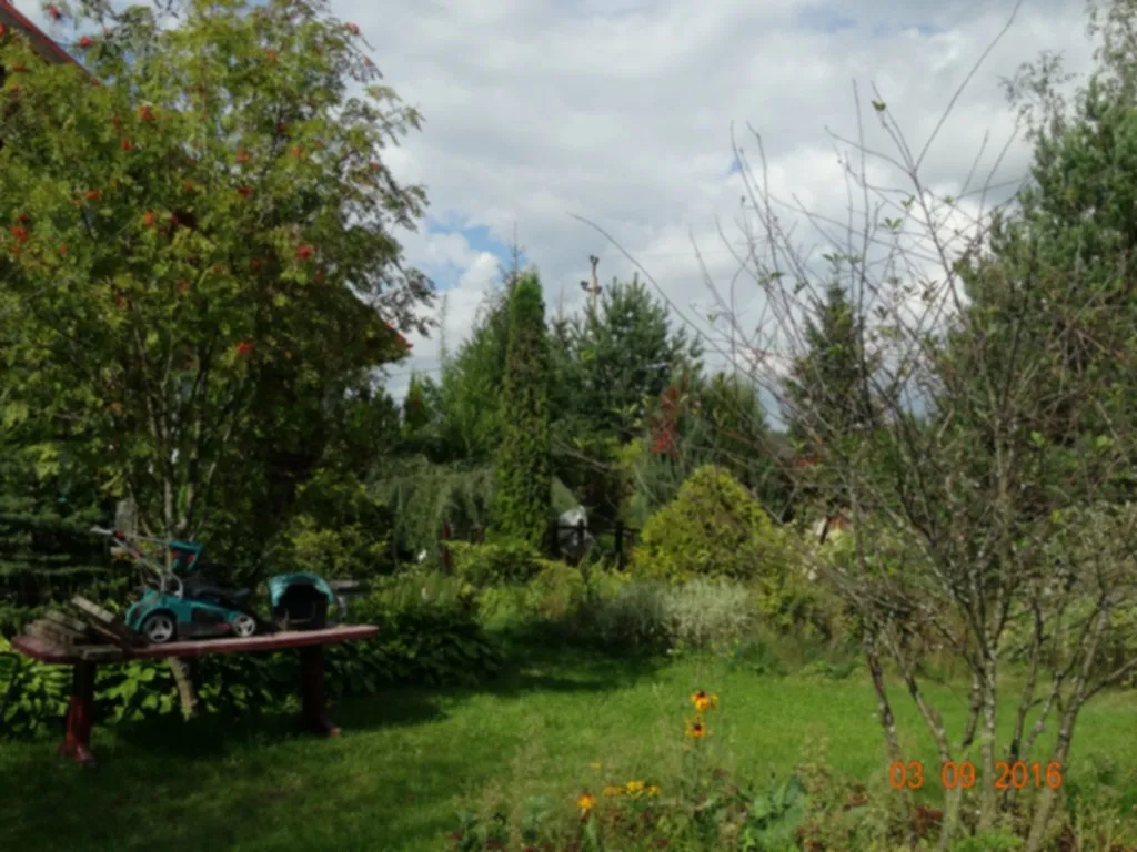 Дача в хвойном саду, фото 4