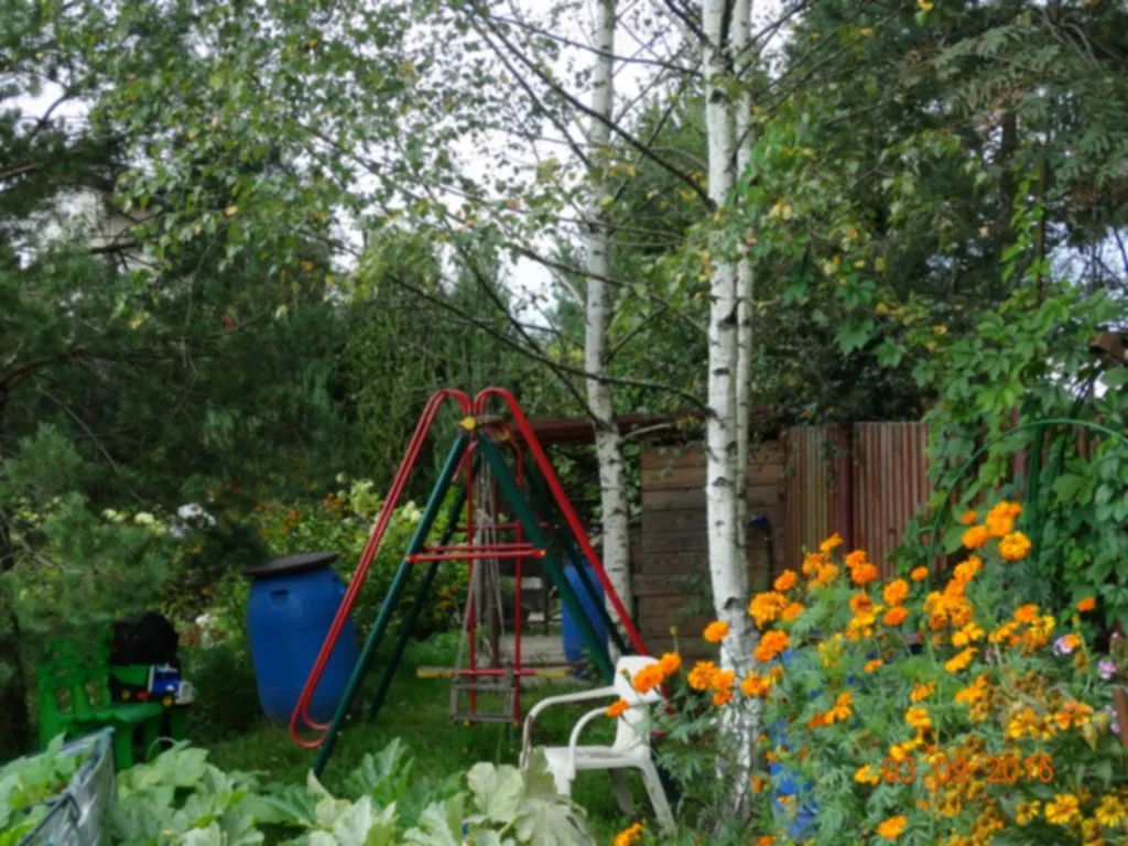 Дача в хвойном саду, фото 24