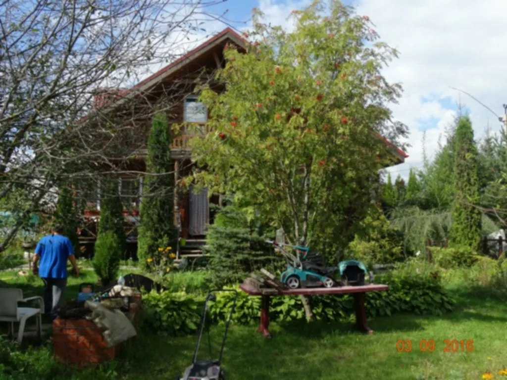 Дача в хвойном саду, фото 3