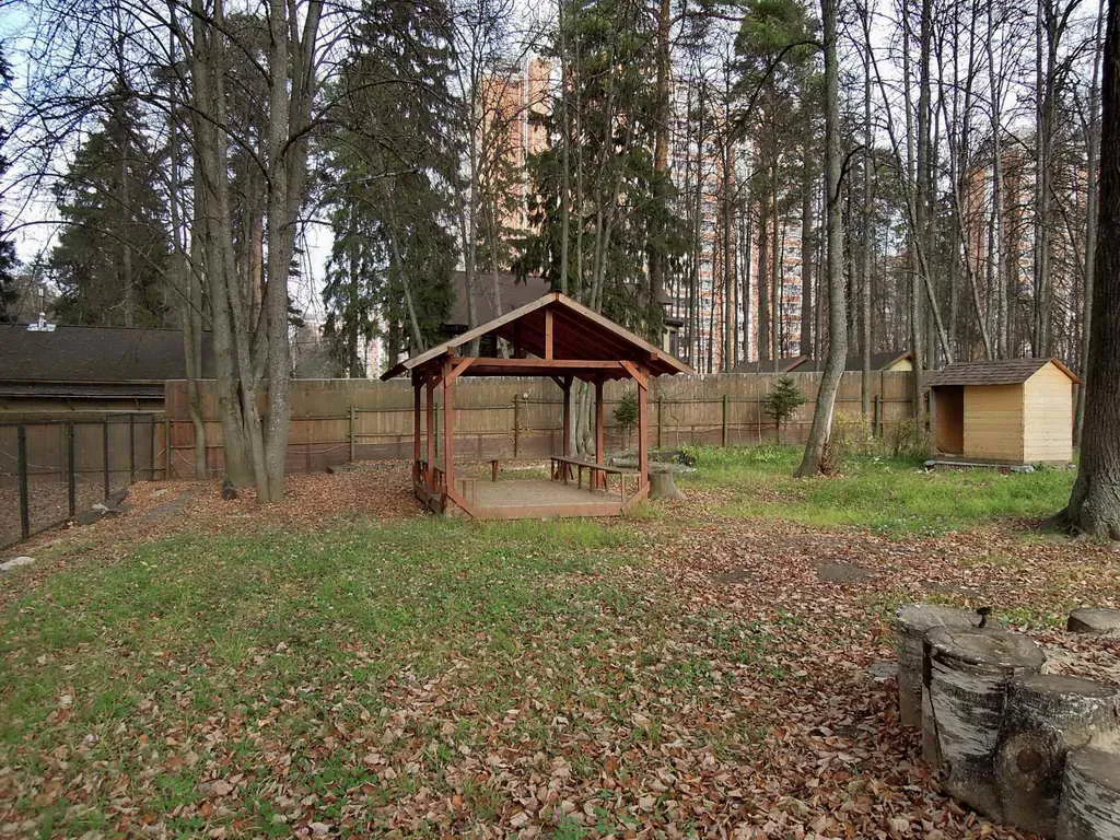 Большой дом у озера, фото 8