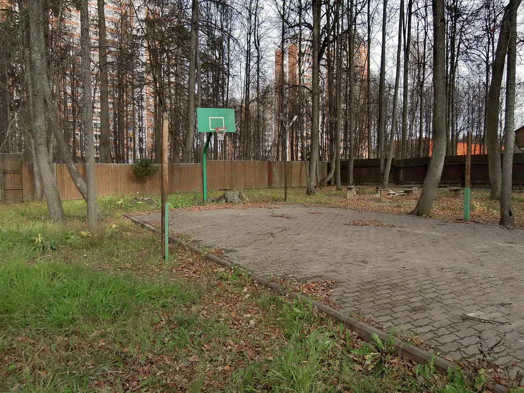 Большой дом у озера, фото 11