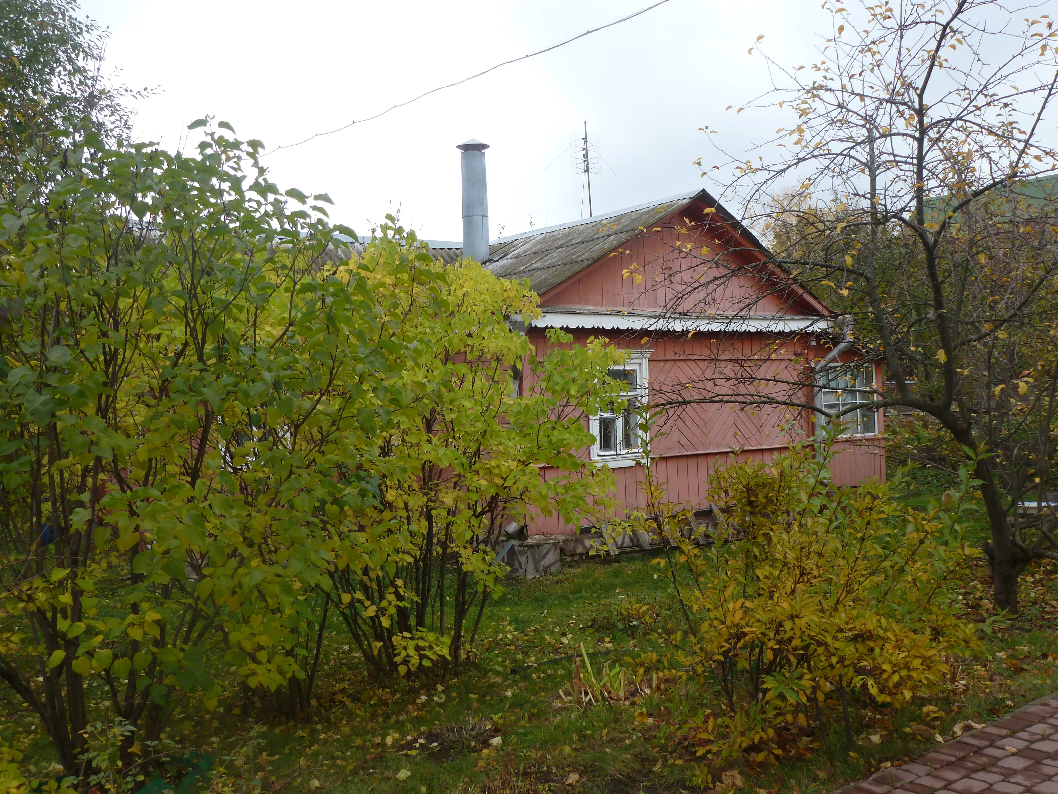 Рыжая дача в саду, фото 6