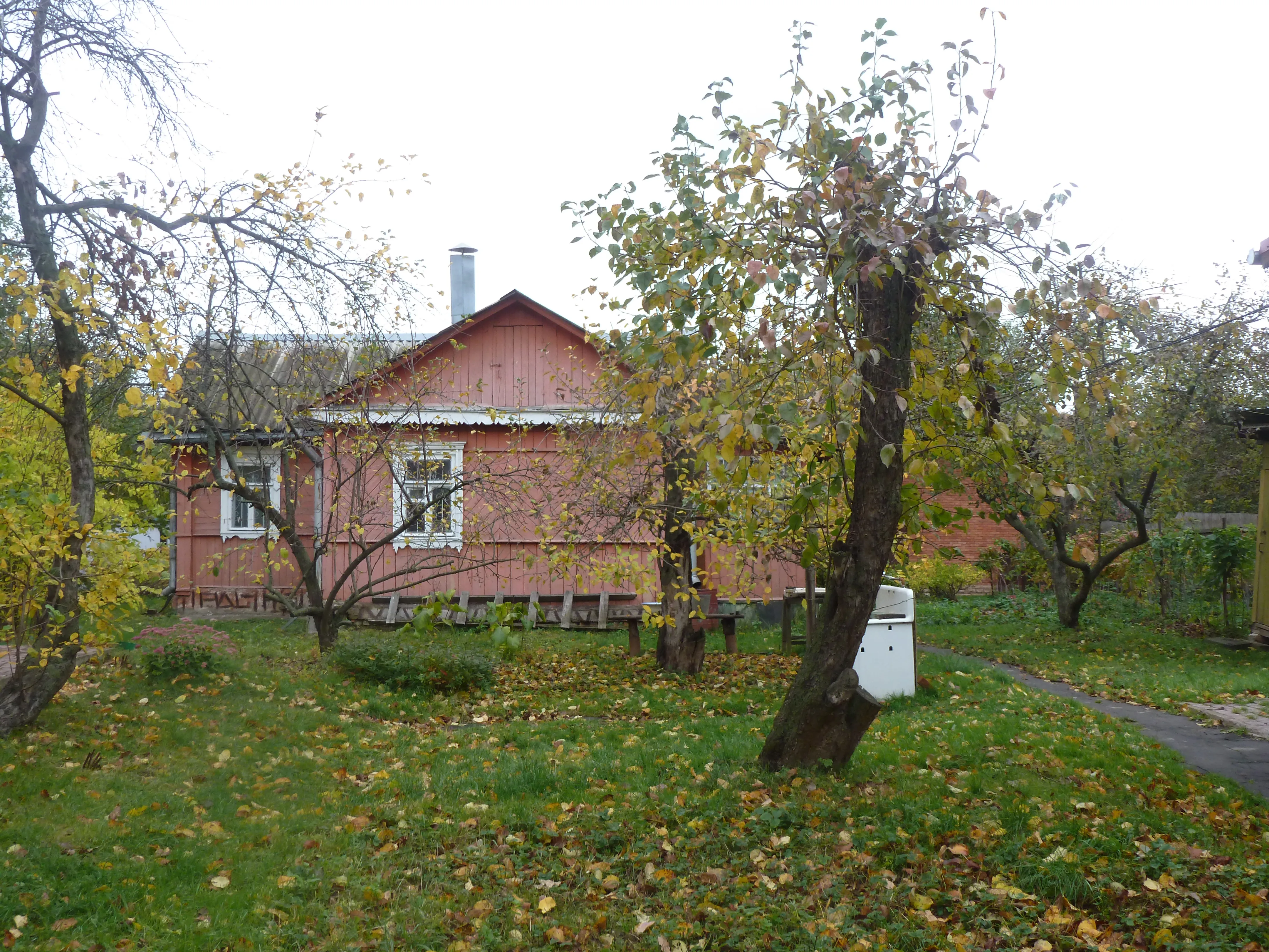 Рыжая дача в саду, фото 2