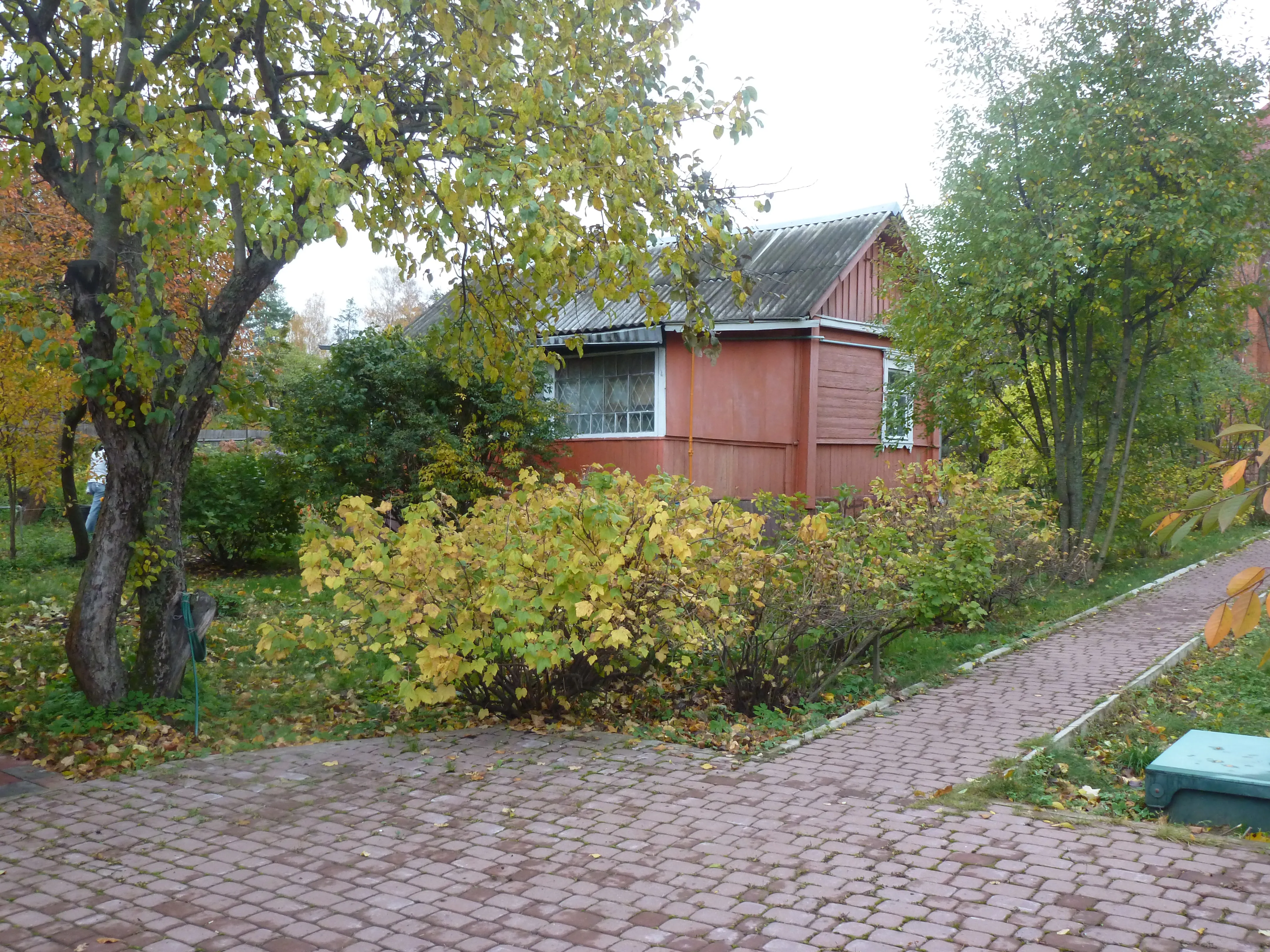 Рыжая дача в саду, фото 13
