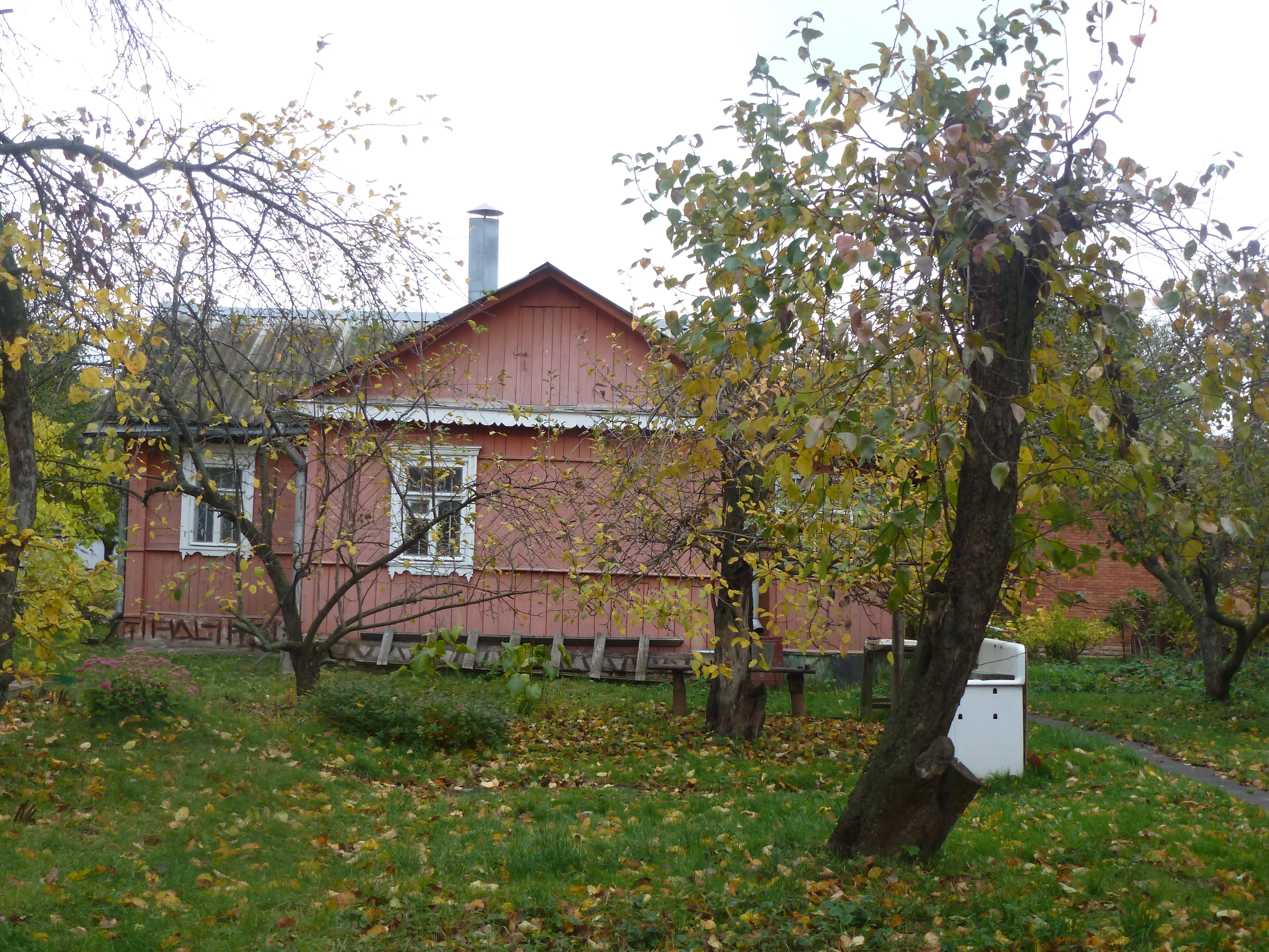 Рыжая дача в саду, фото 3