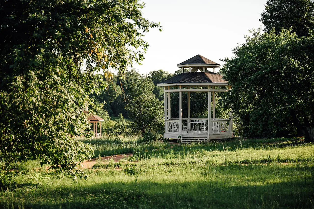 Домики в лесу, фото 17