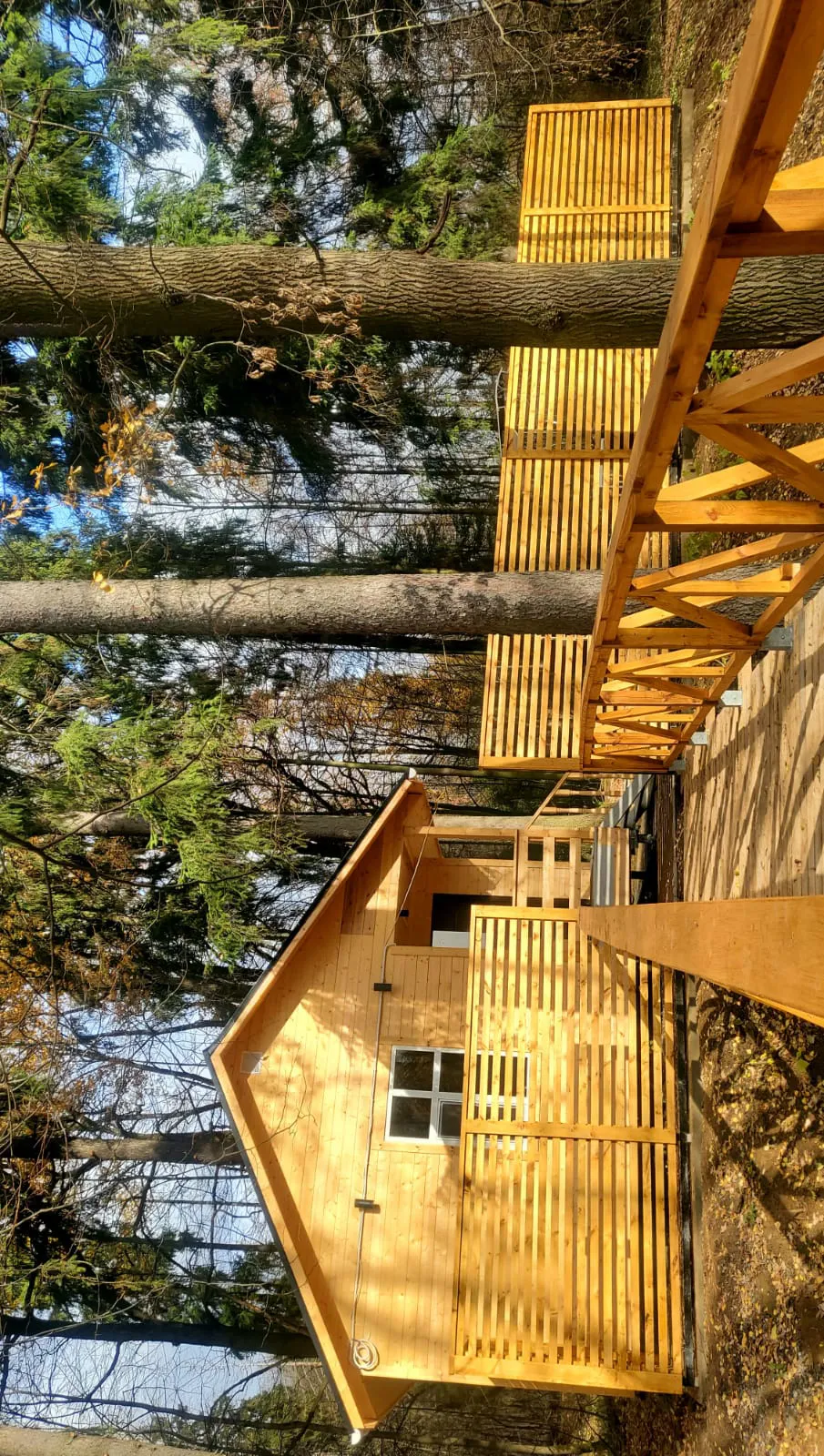 Домики в лесу, фото 4