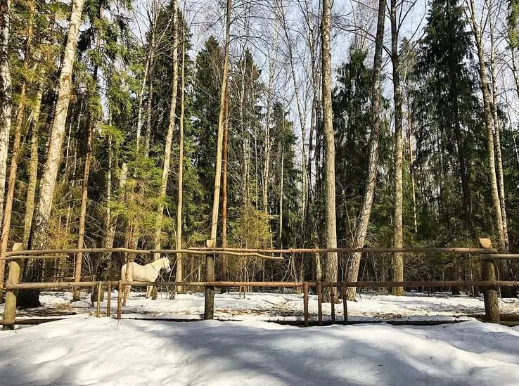 Деревенский дом у озера, фото 5