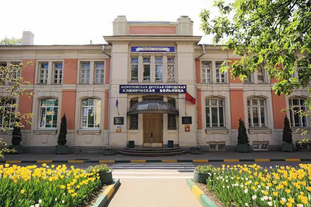 Школа за кирпичным забором, фото 6