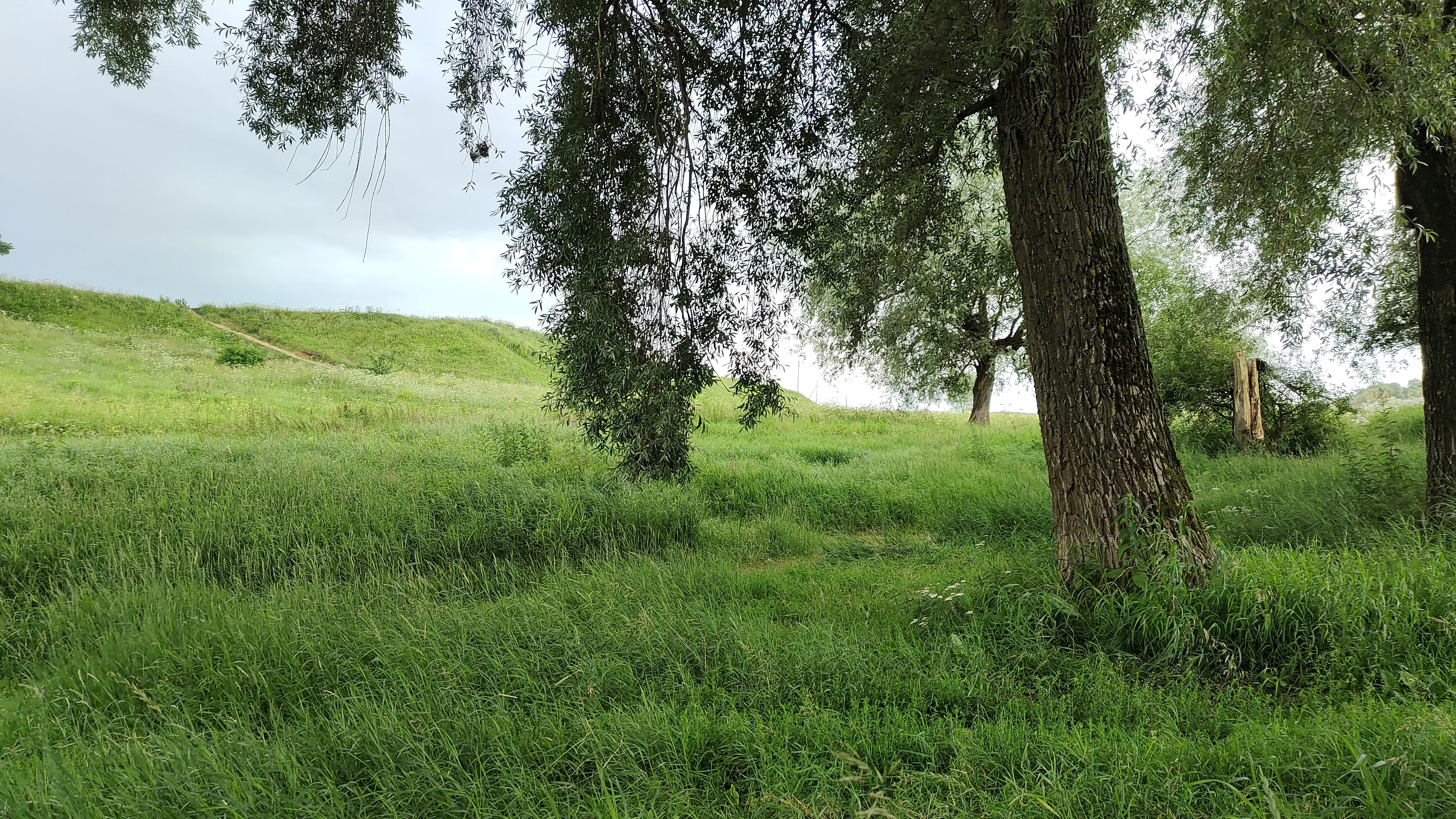 Холмистый берег реки, фото 22