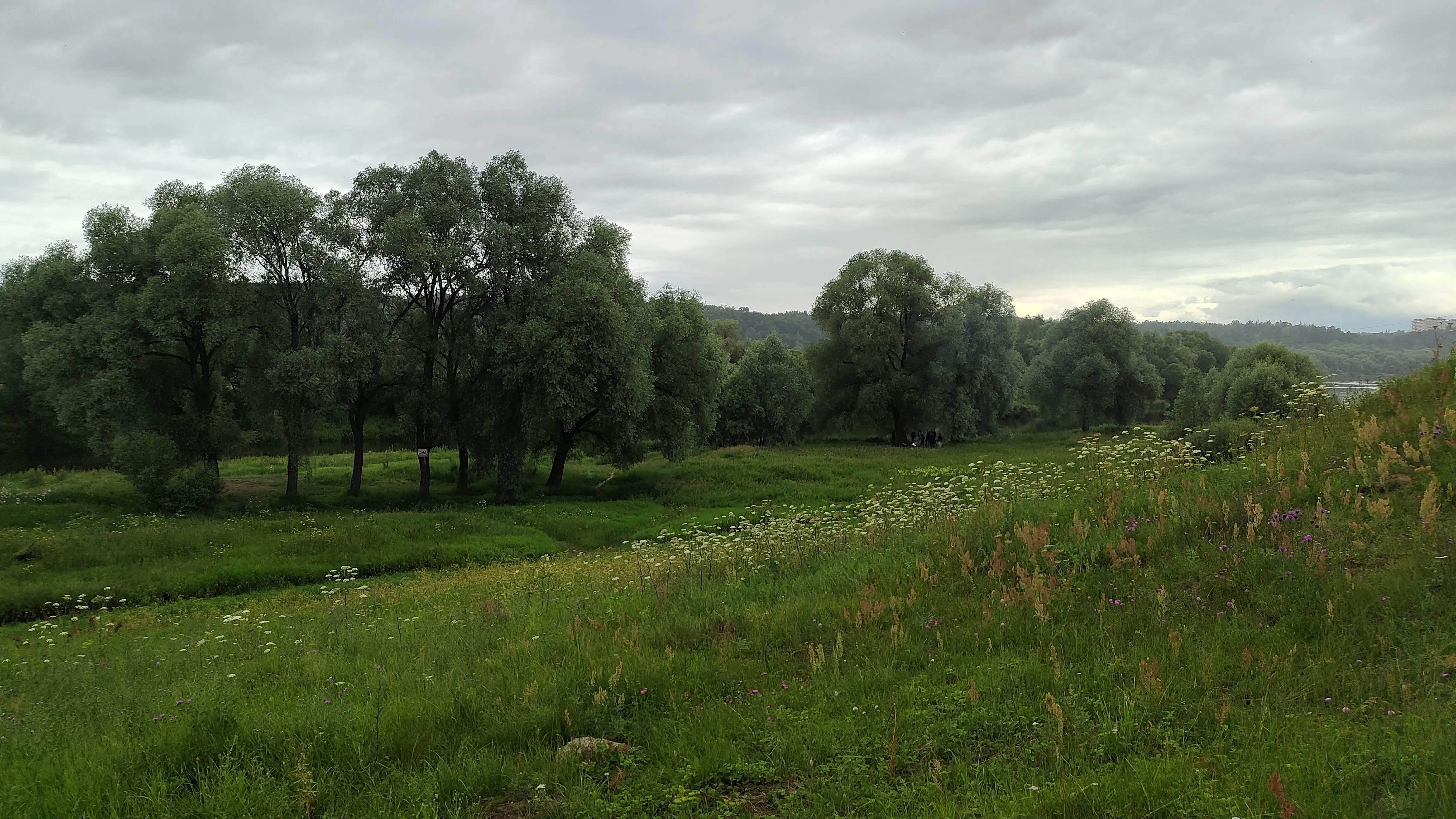 Холмистый берег реки, фото 4
