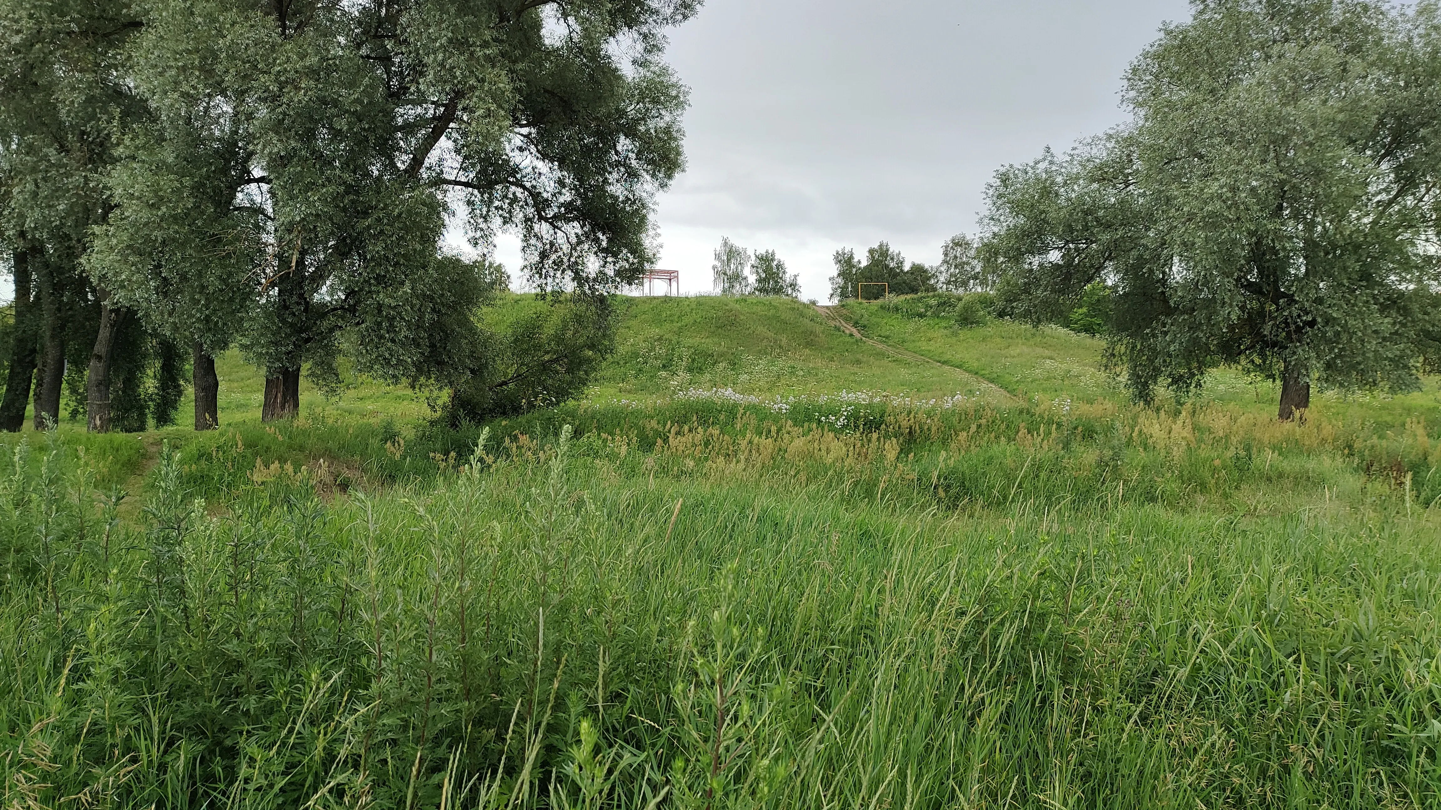 Холмистый берег реки, фото 10