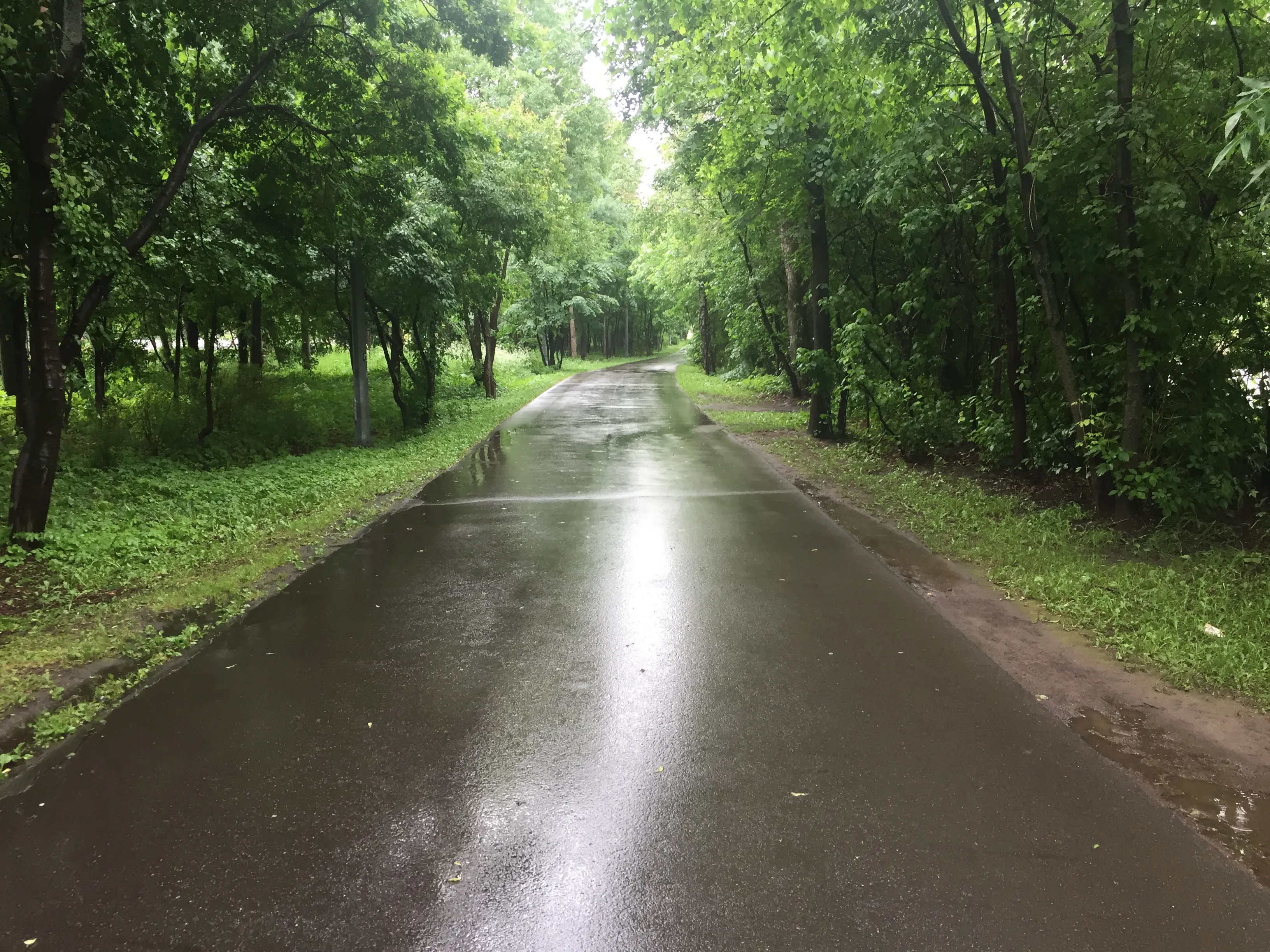 Парк с прудом, фото 5