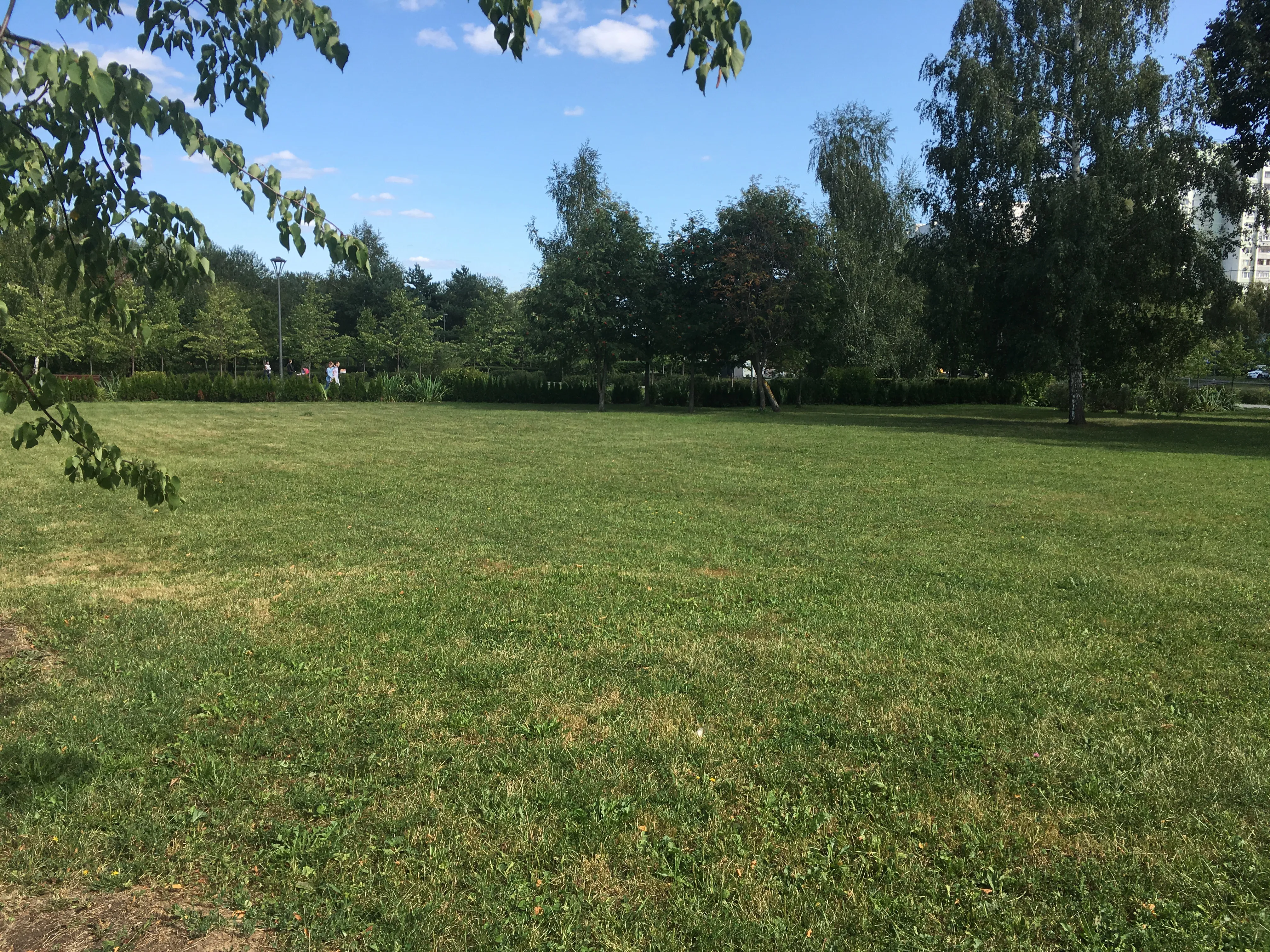 Парк у извилистой реки, фото 24