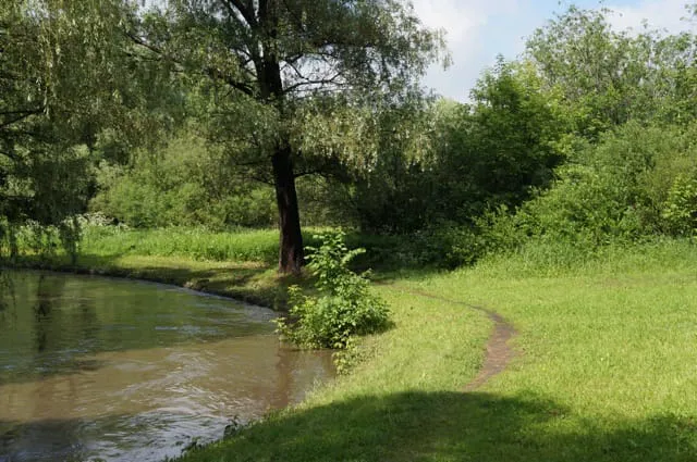 Парк у извилистой реки, фото 7