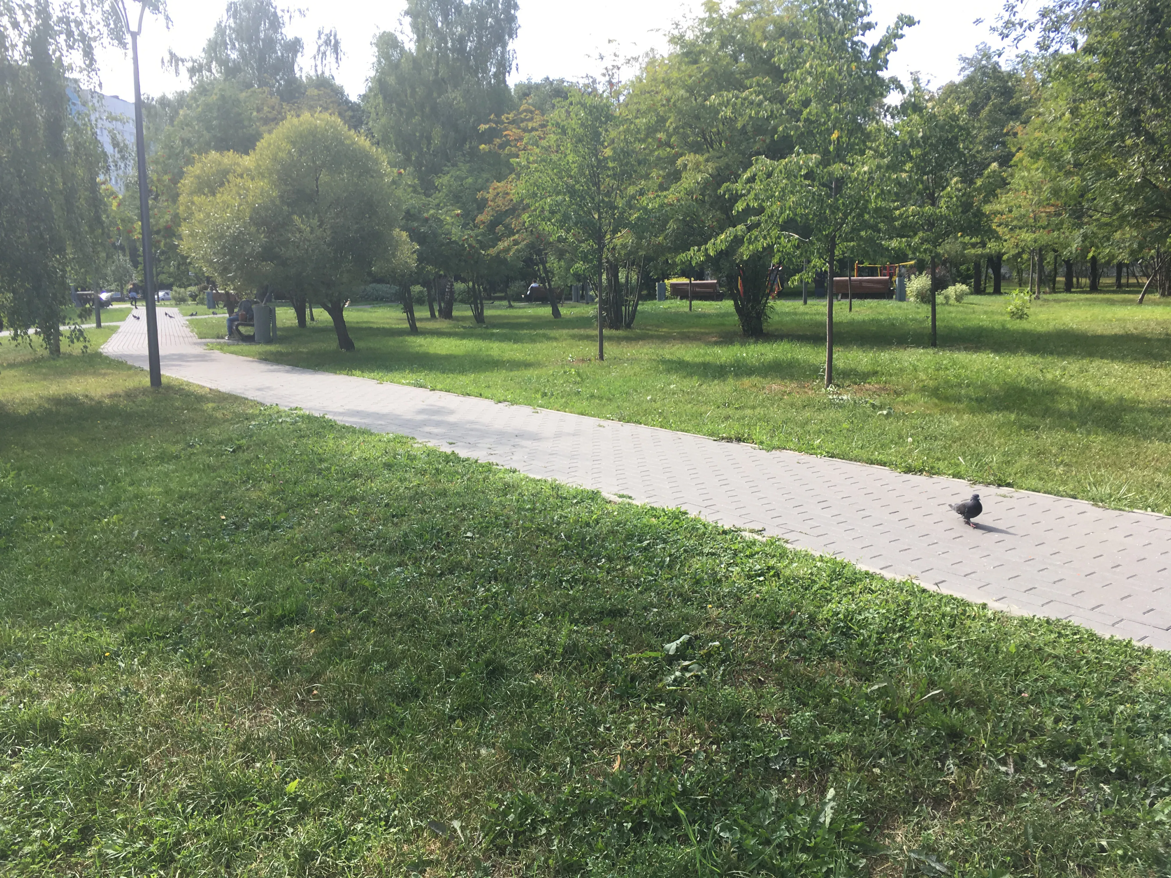 Парк у извилистой реки, фото 19
