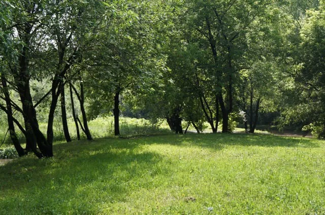 Парк у извилистой реки, фото 11