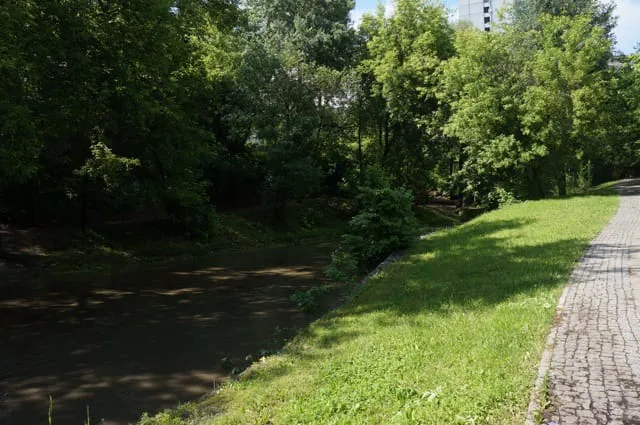 Парк у извилистой реки, фото 13