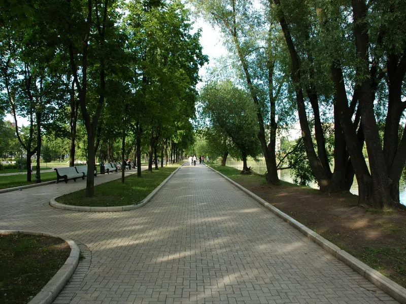 Парк у пруда, фото 15