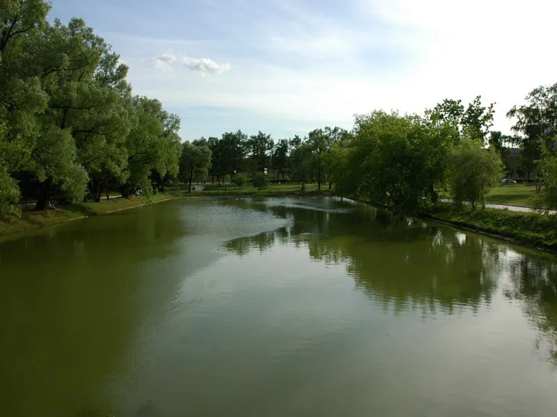Парк у пруда, фото 8