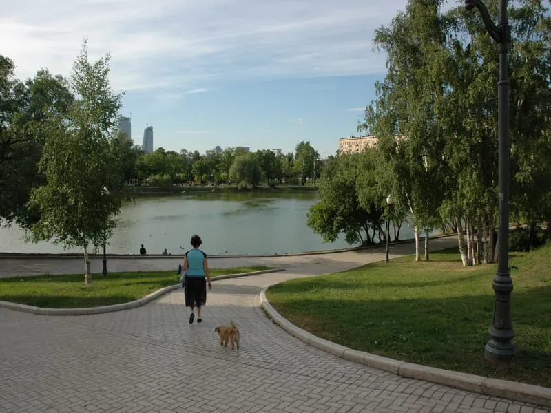 Парк у пруда, фото 1