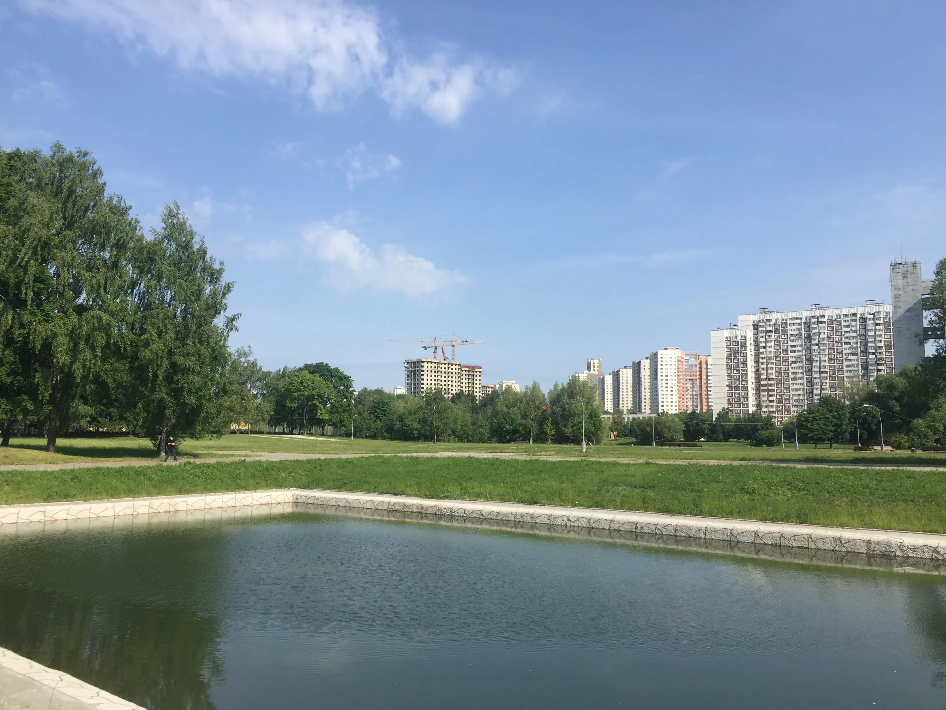 Зеленый парк у пруда, фото 8