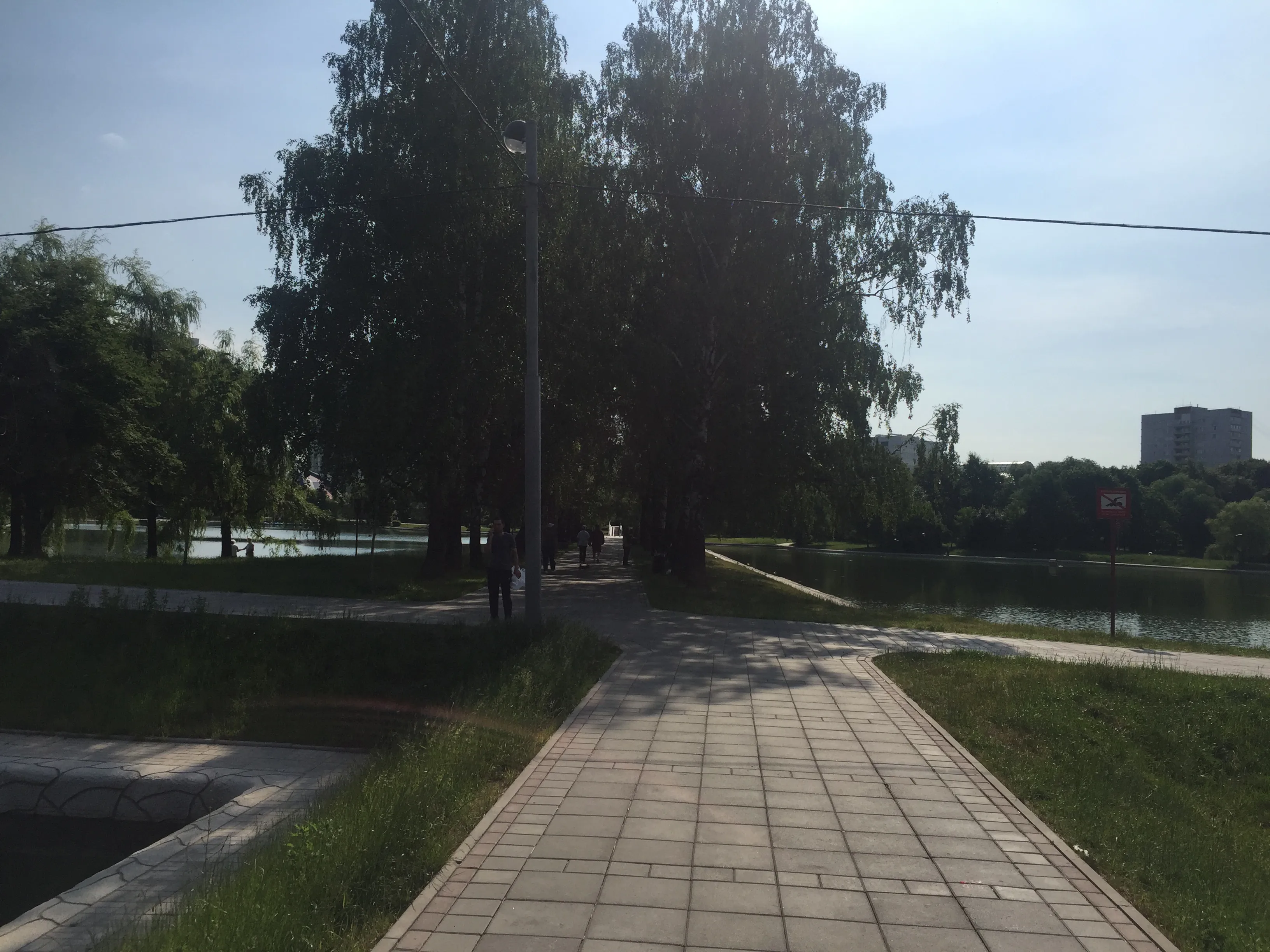 Зеленый парк у пруда, фото 11
