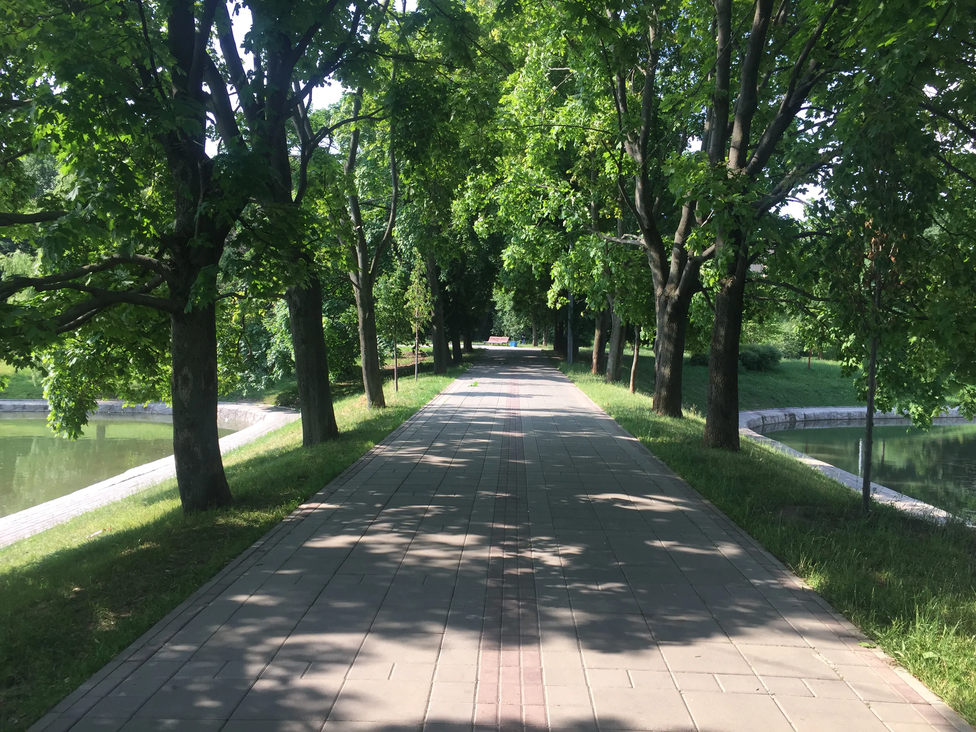 Зеленый парк у пруда, фото 5
