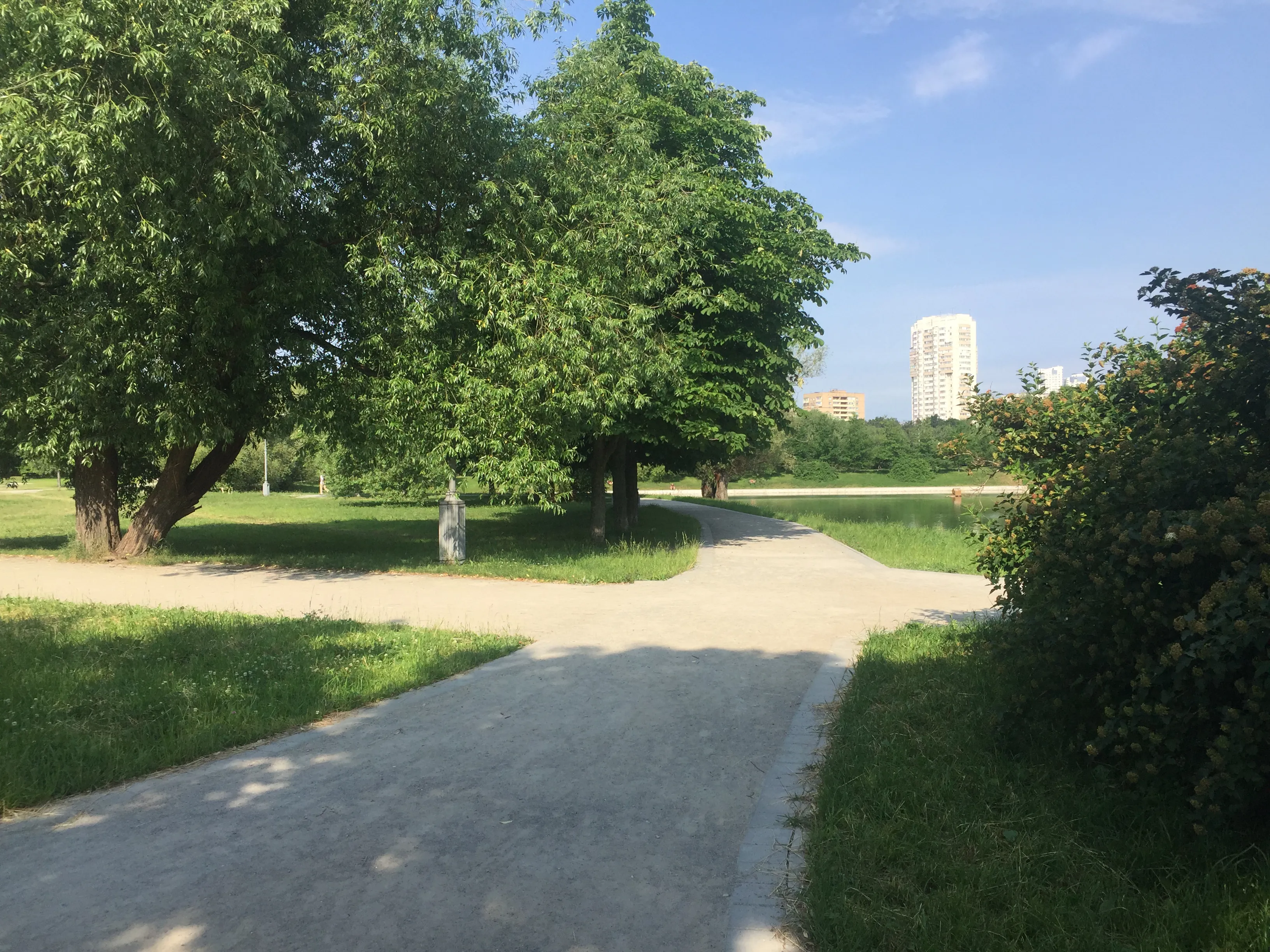 Зеленый парк у пруда, фото 3