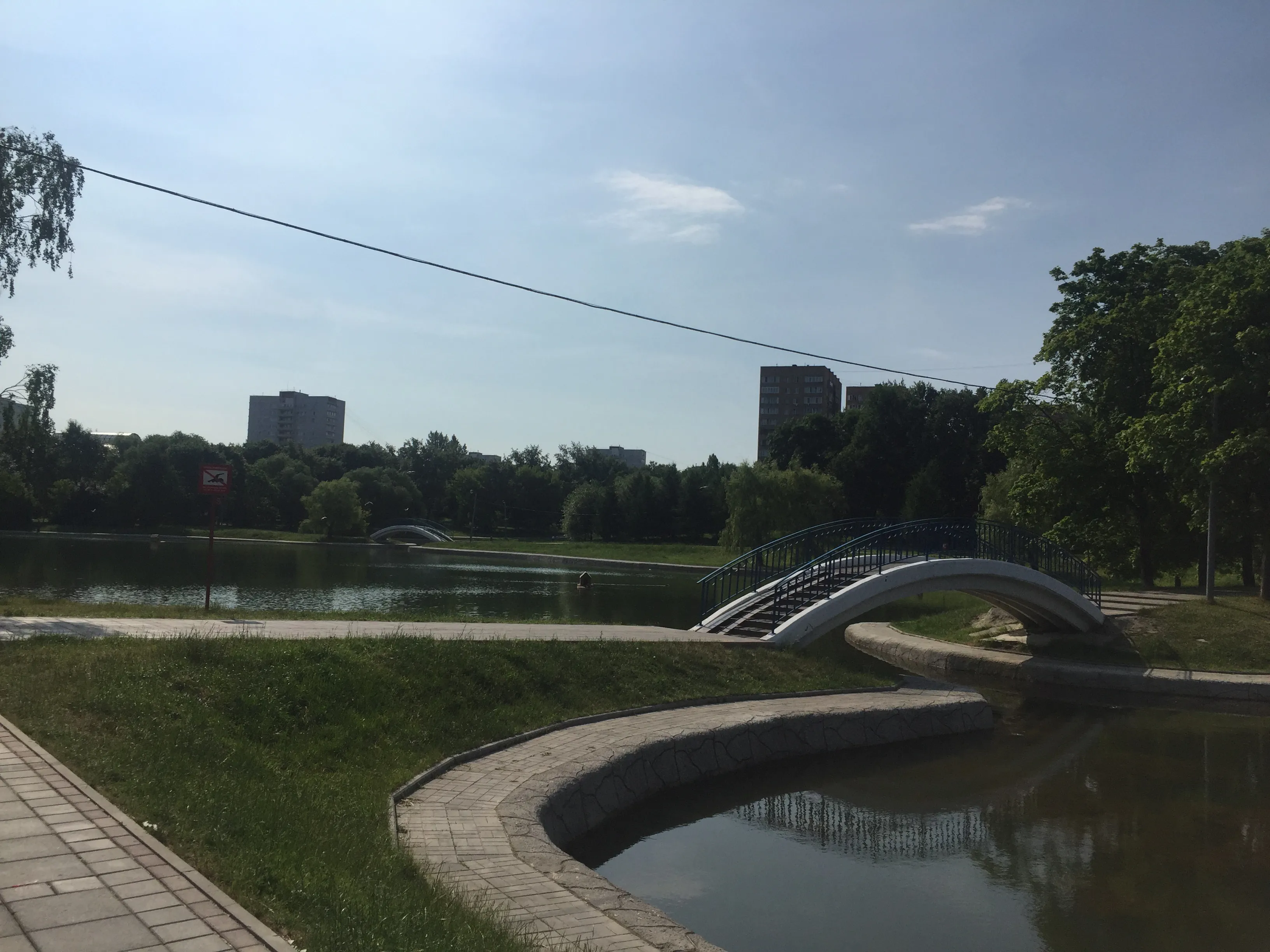 Зеленый парк у пруда, фото 12