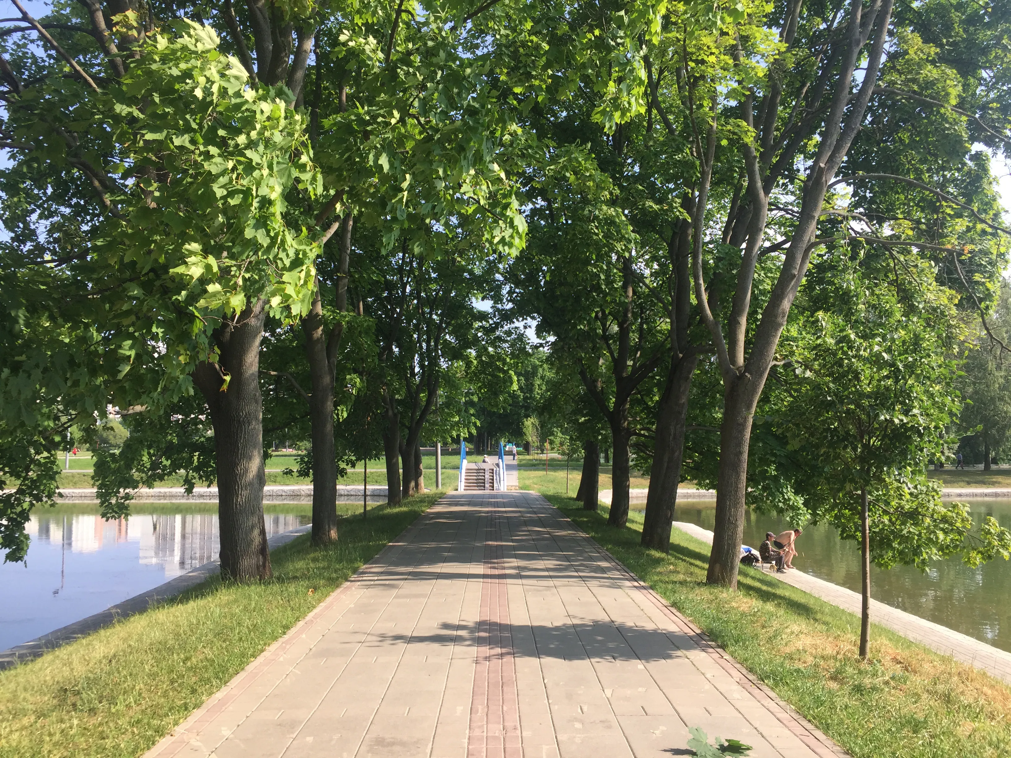Зеленый парк у пруда, фото 6