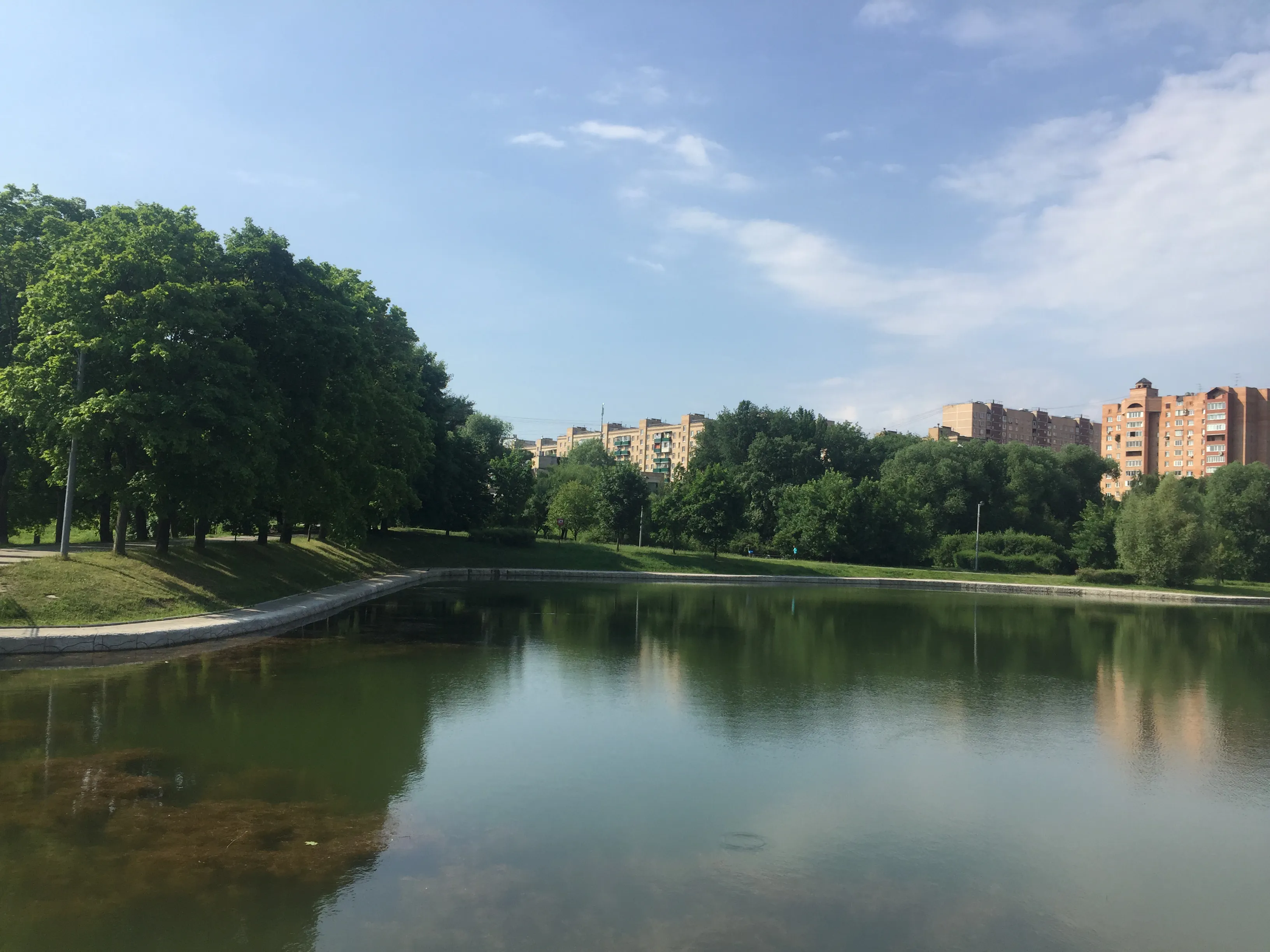 Зеленый парк у пруда, фото 14